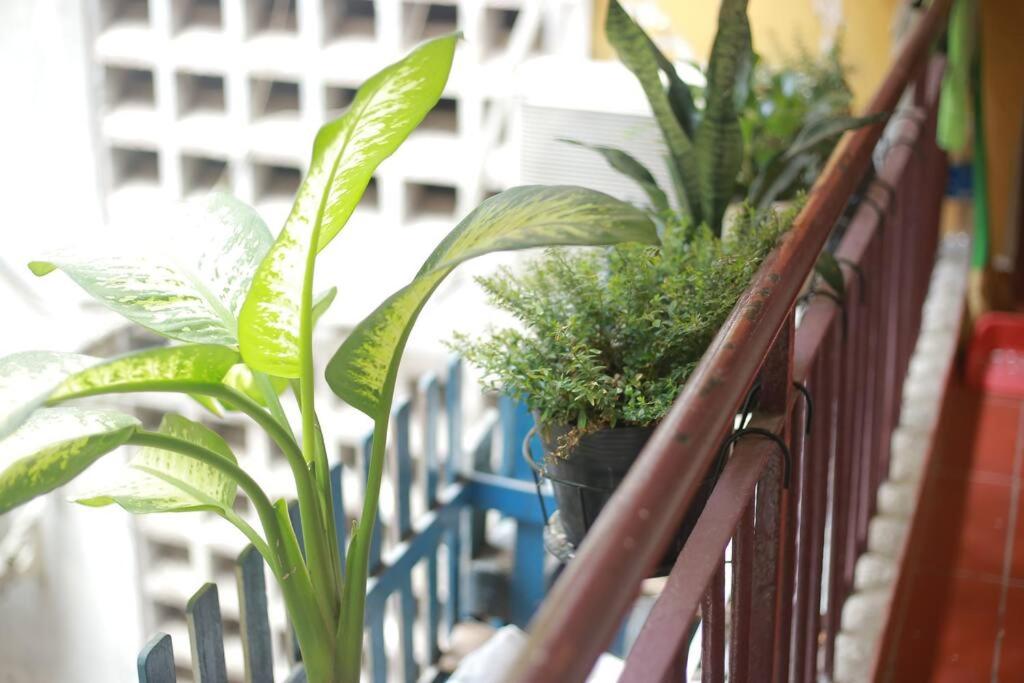 Lagom studio 18 - đẹp và yên bình, kế bên dinh độc lâp, nhà thờ Đức Bà, đường Nguyễn Du, phường Bến Nghé, Quận 1