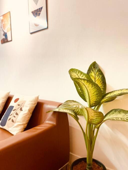 Lagom studio 18 - đẹp và yên bình, kế bên dinh độc lâp, nhà thờ Đức Bà, đường Nguyễn Du, phường Bến Nghé, Quận 1