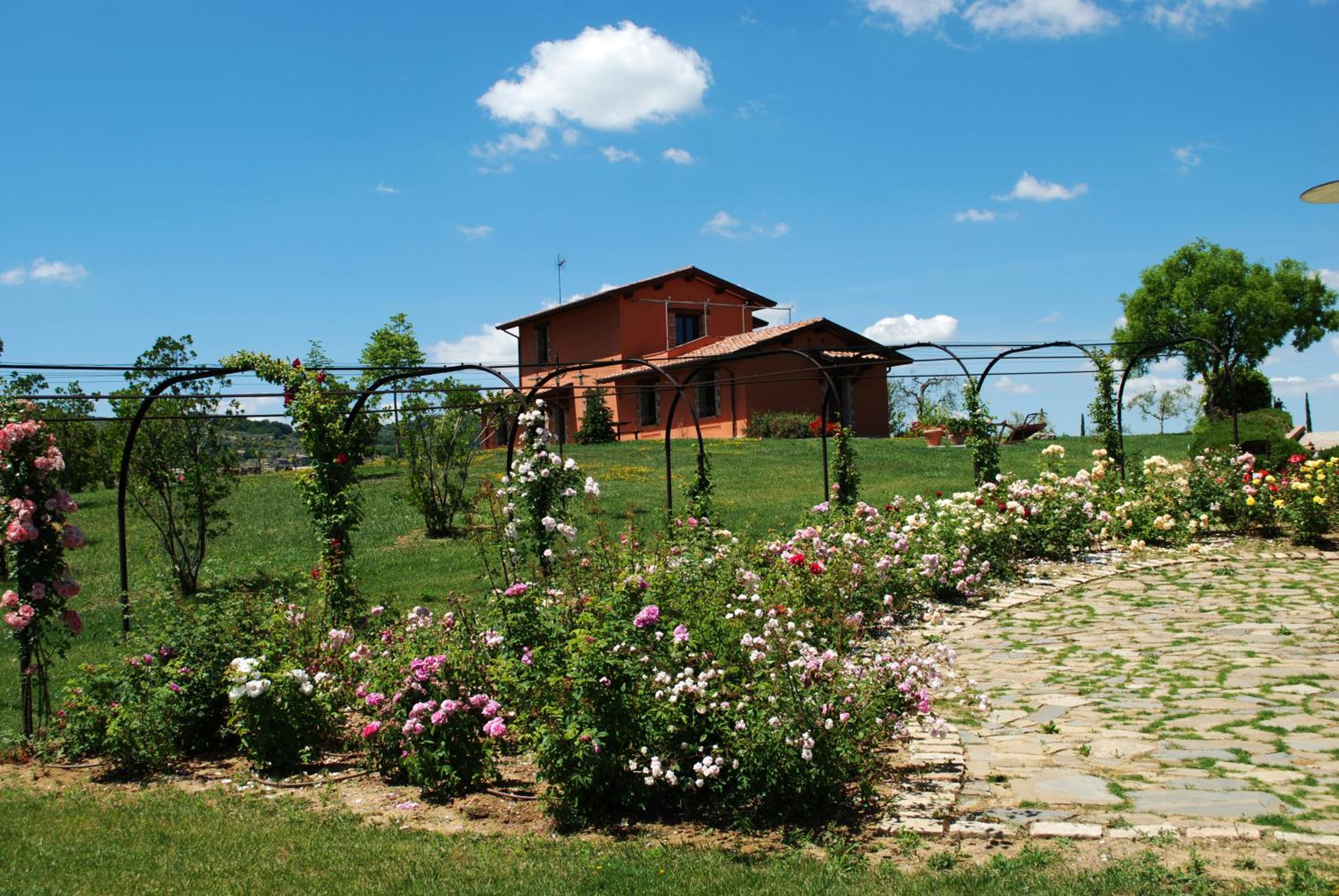Tenuta Del Perugino