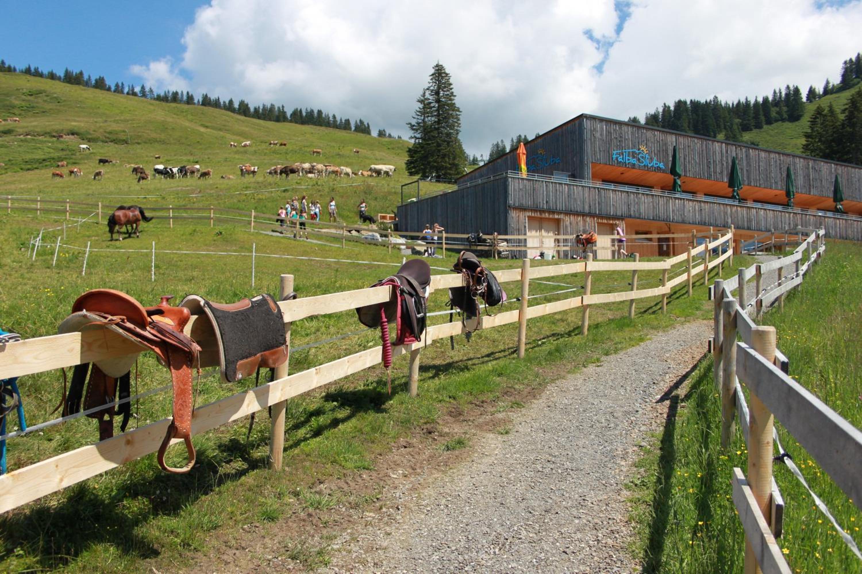 Haus Matt