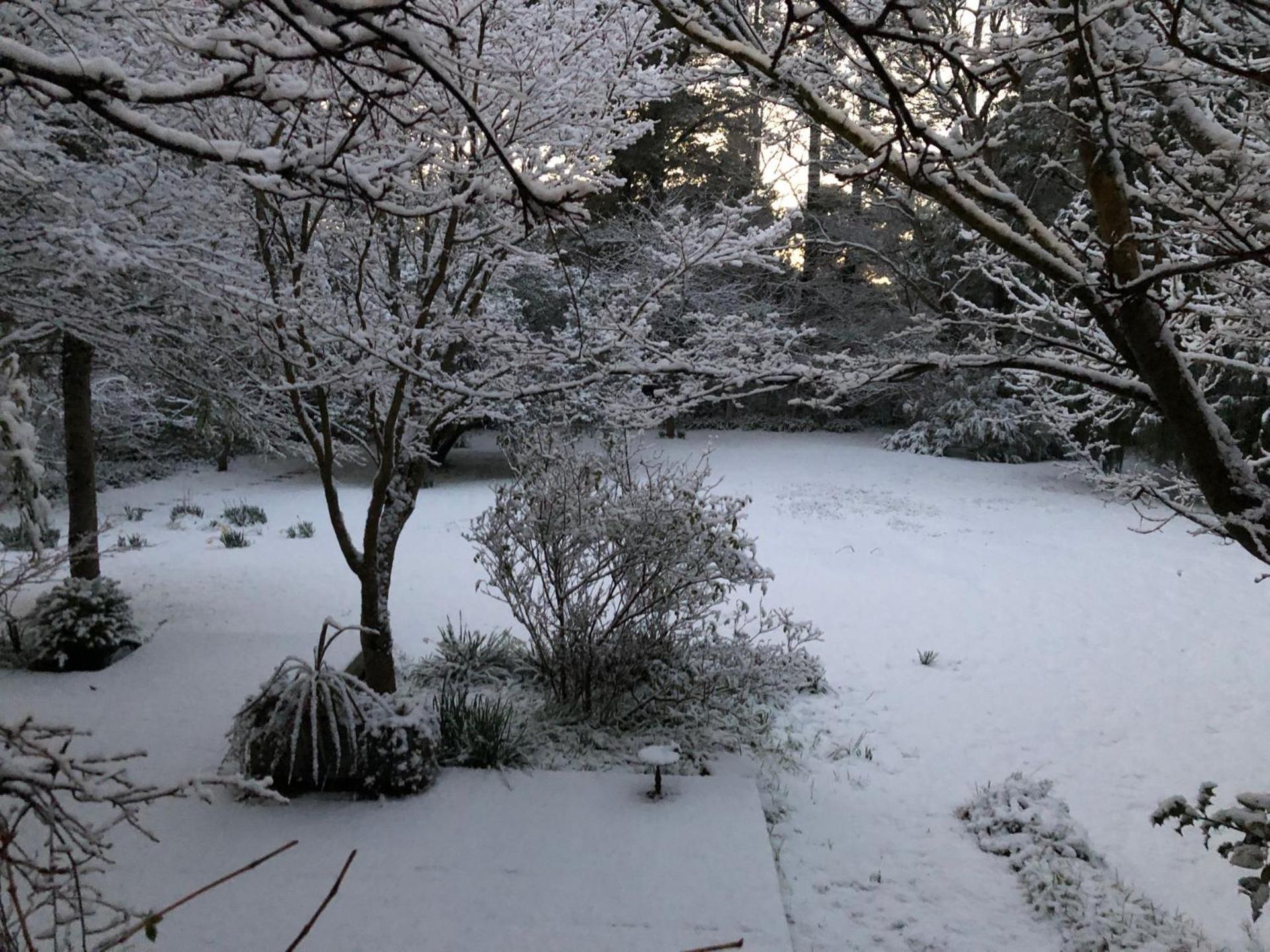 Leura Country Cottage