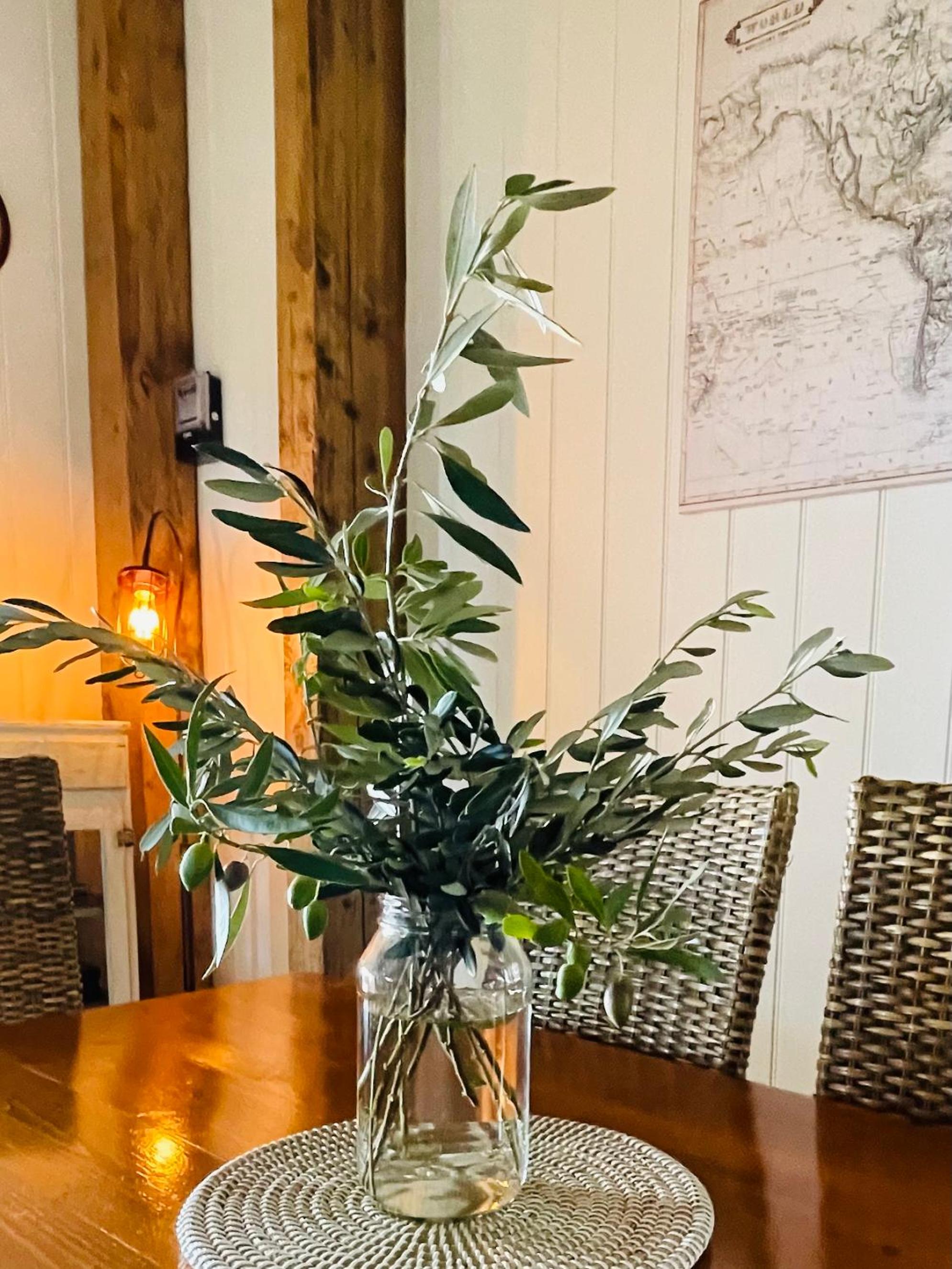 Maple Lane Farm Stay