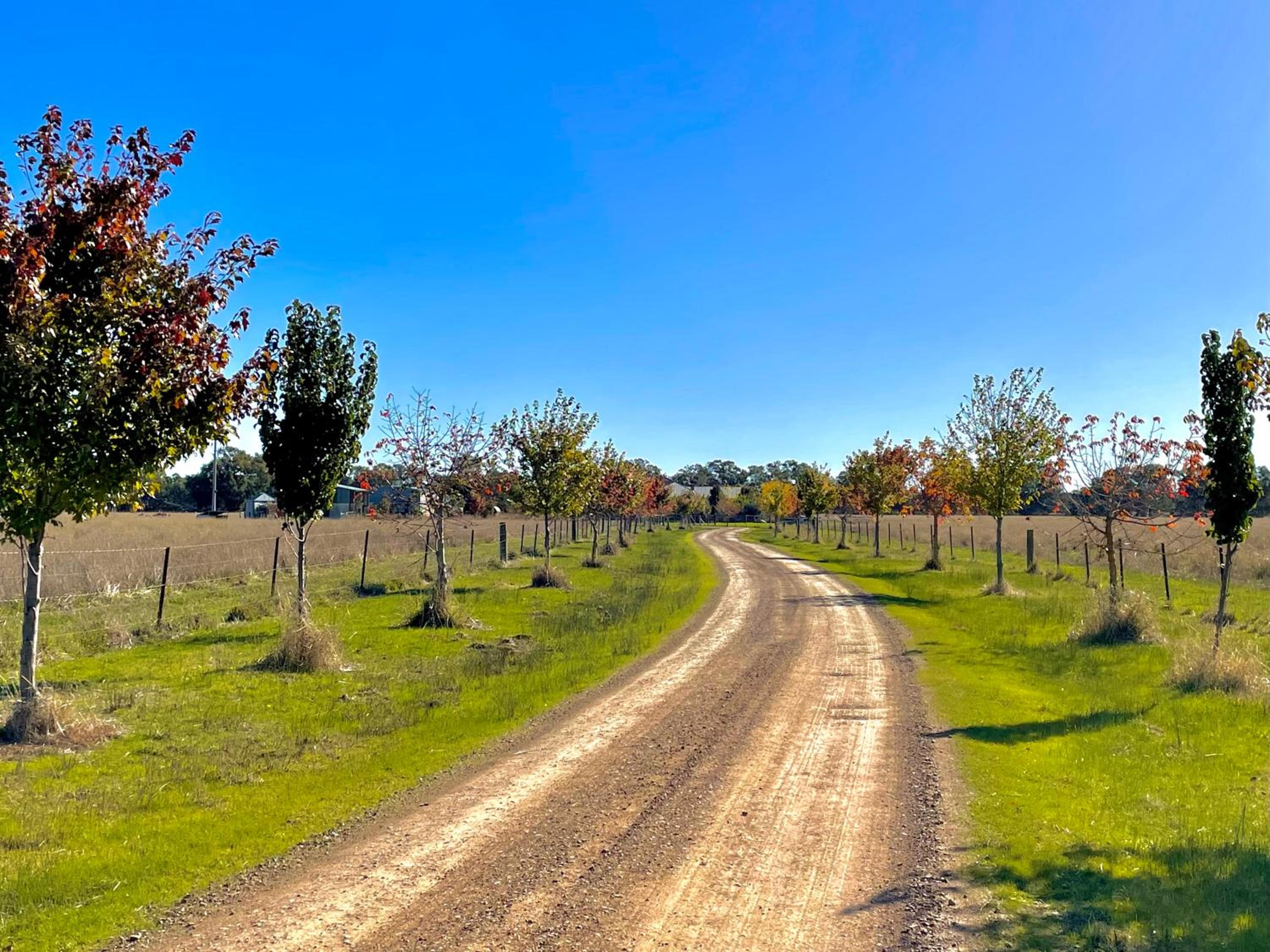 Maple Lane Farm Stay