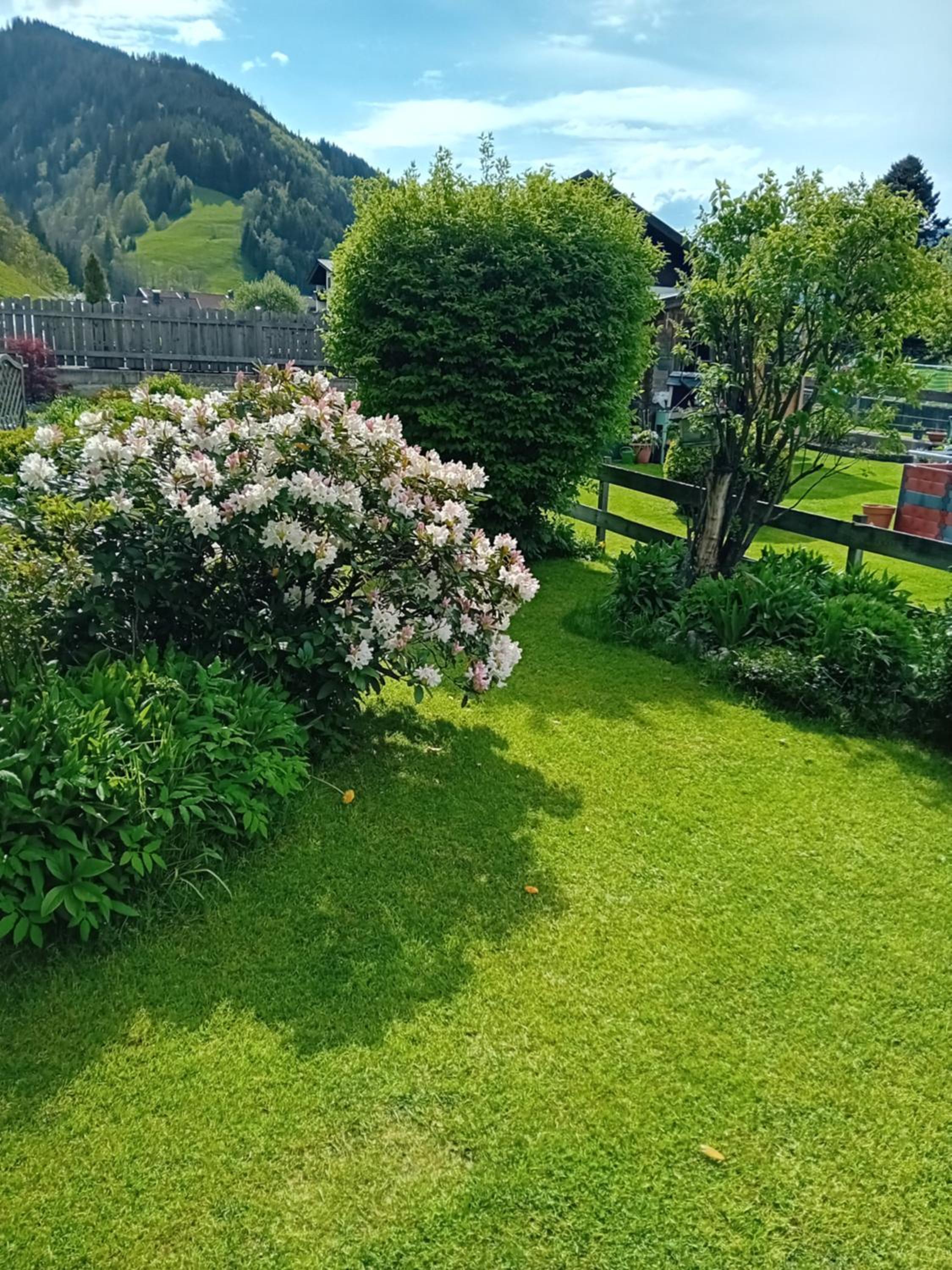 Apartment Auszeit Nationalpark SommerCard inklusive Mai-Okt