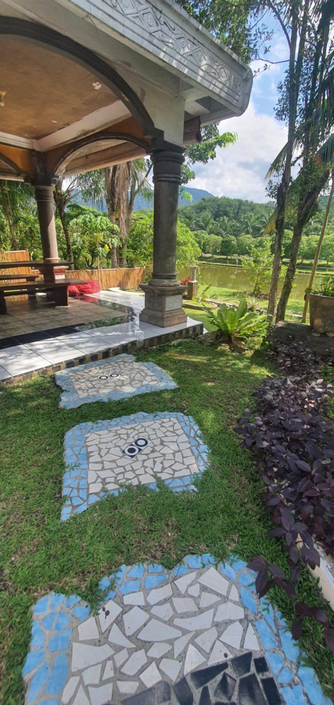 Sumatra Cheeky Monkeys view 5