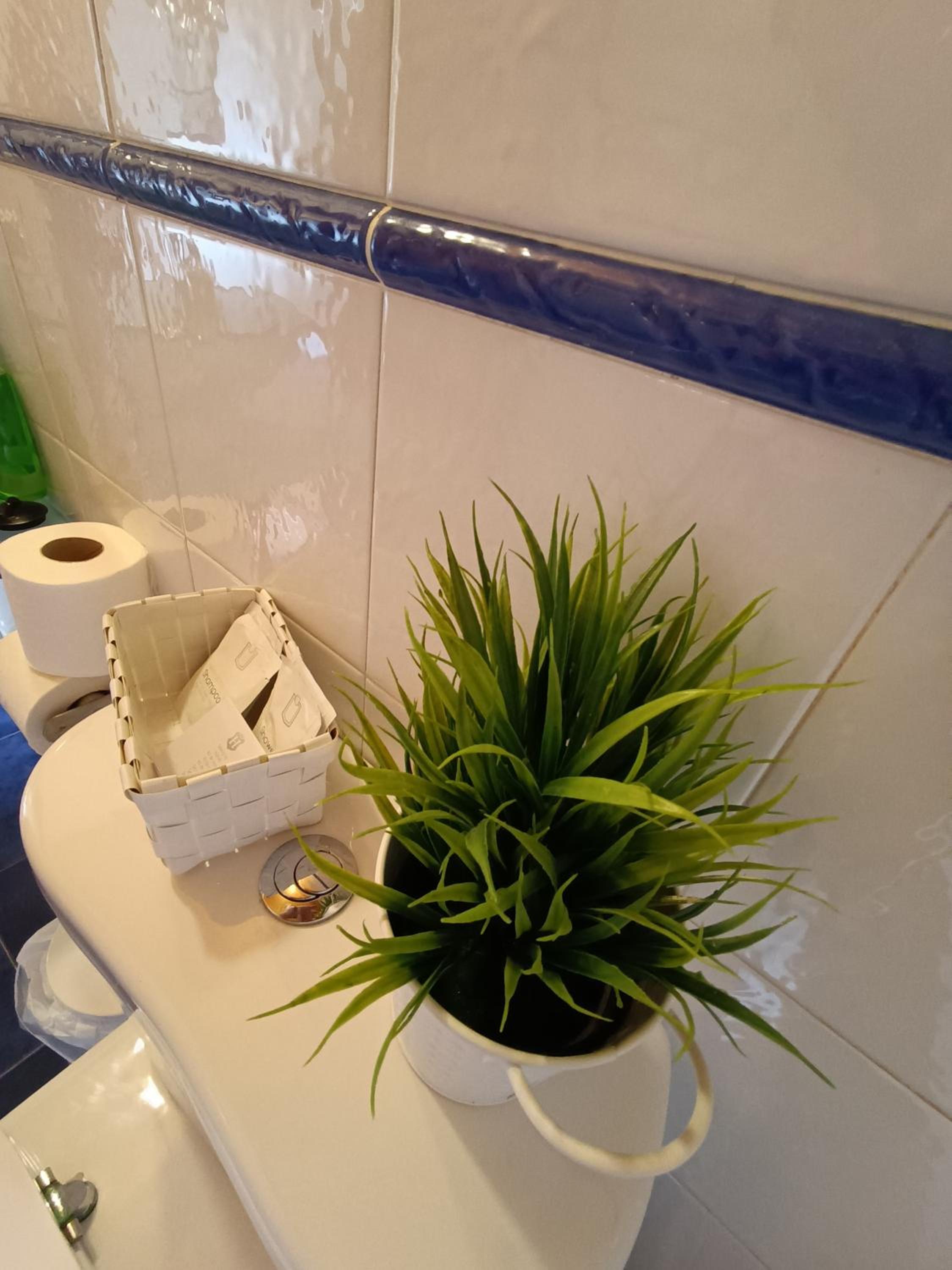 Apartamentos MinusKa con jardin y a tan solo 10 min andando a Llanes