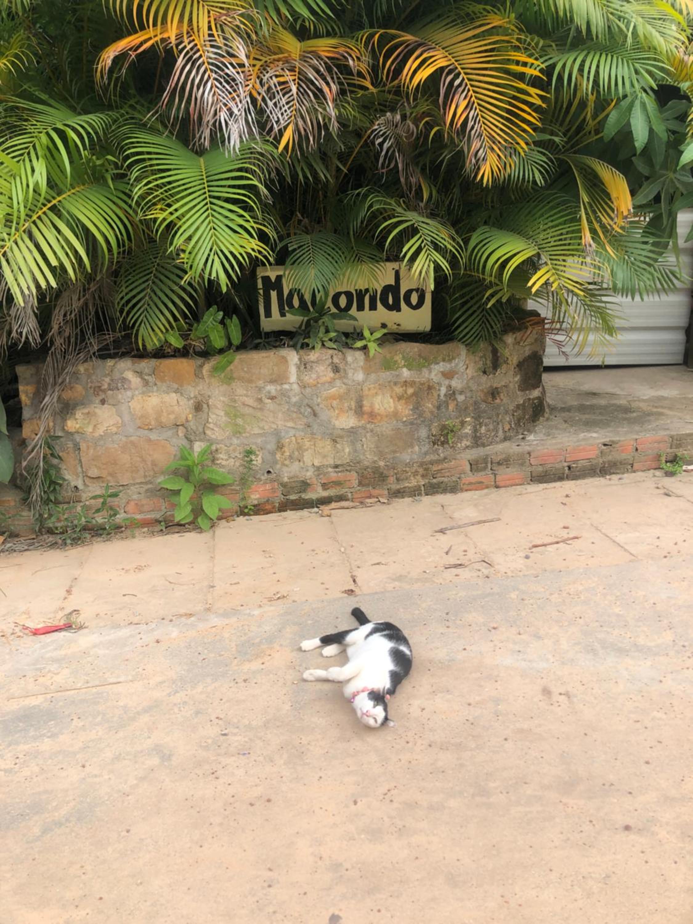 Macondo Mpai bay view 3