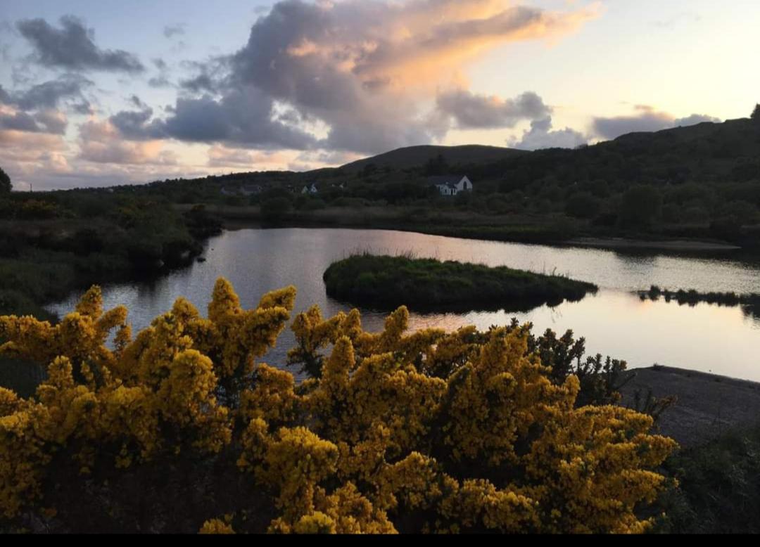 Donegal cottage