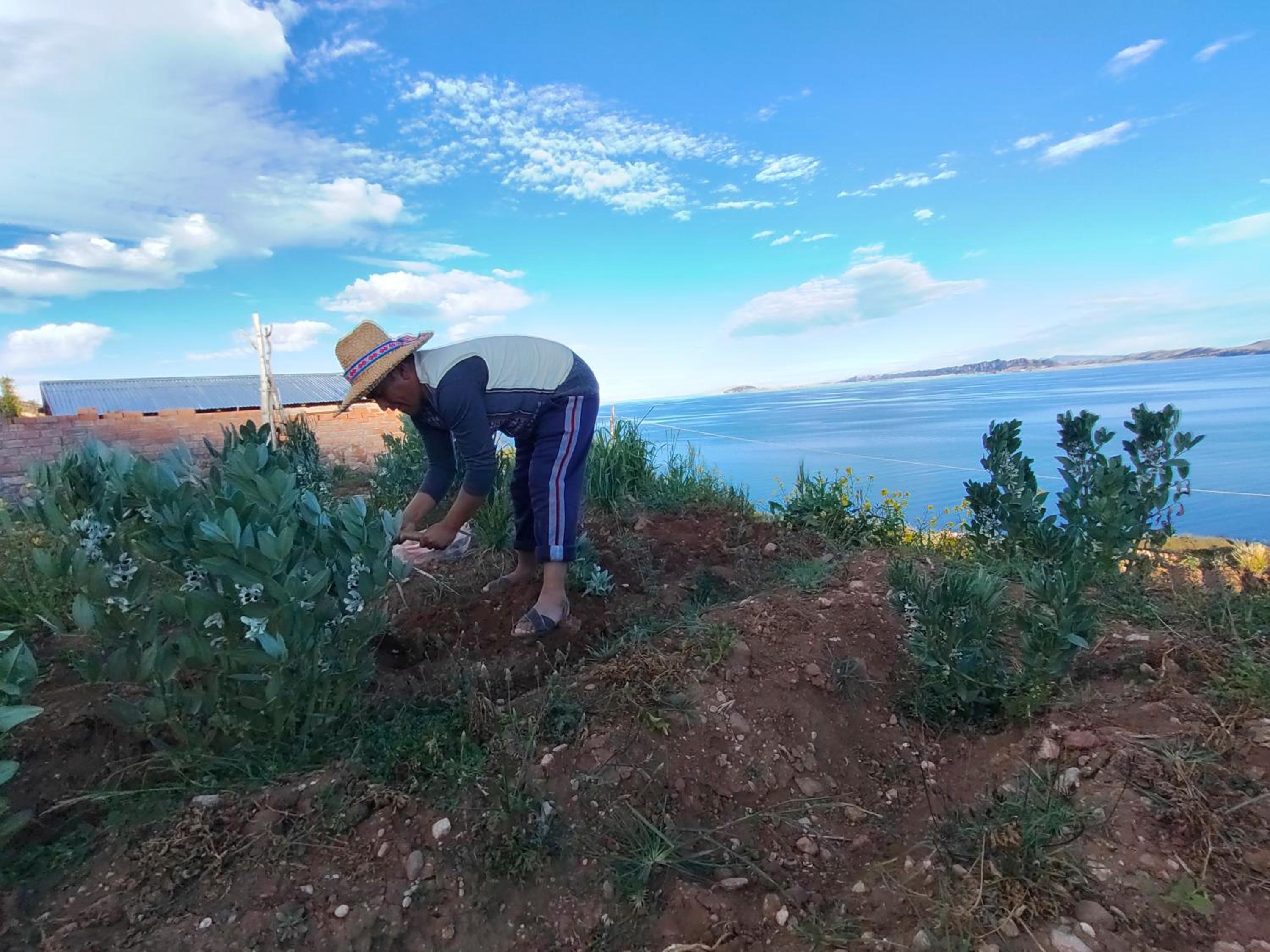 Titicaca Perka Lodge view 5