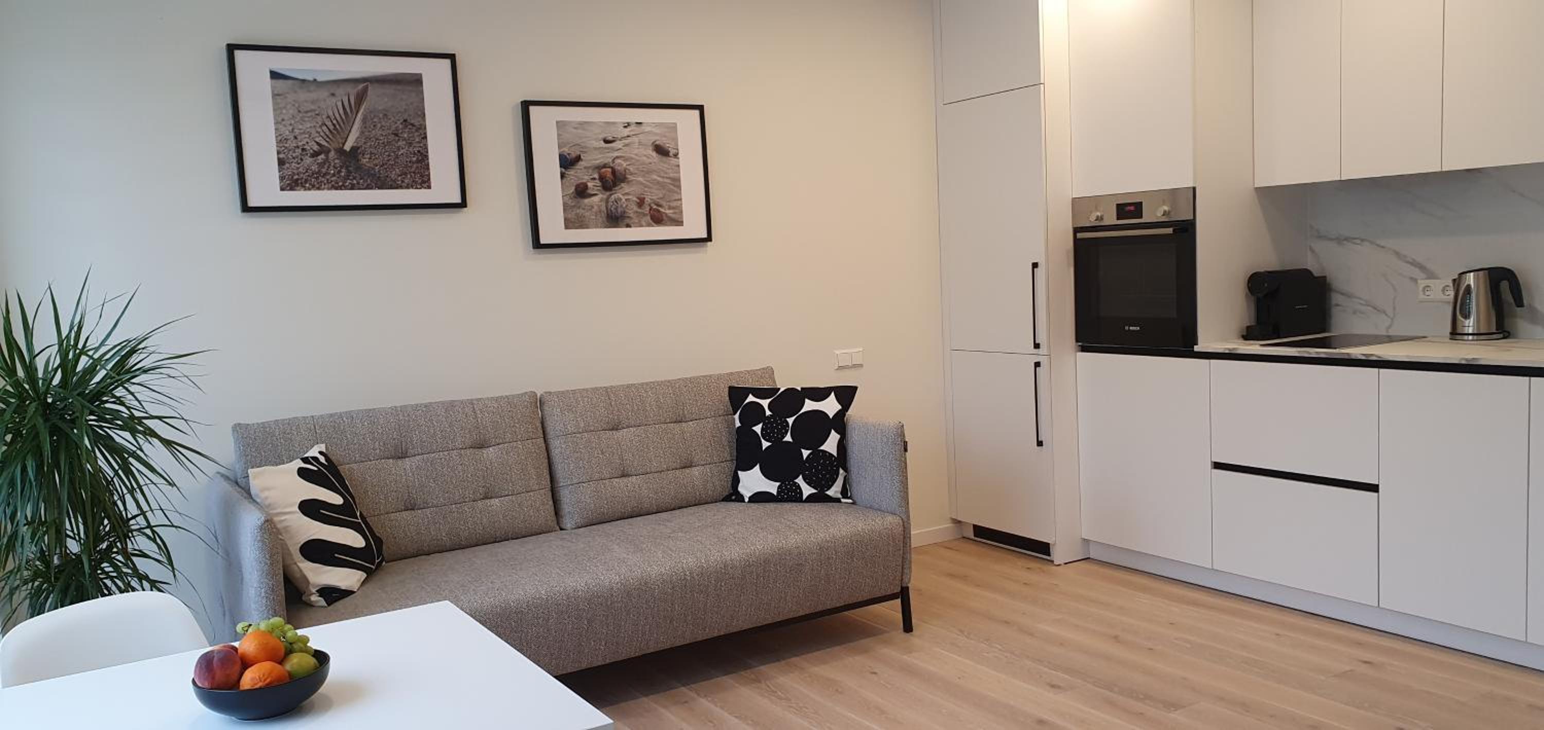 Apartamentas Plunksna
