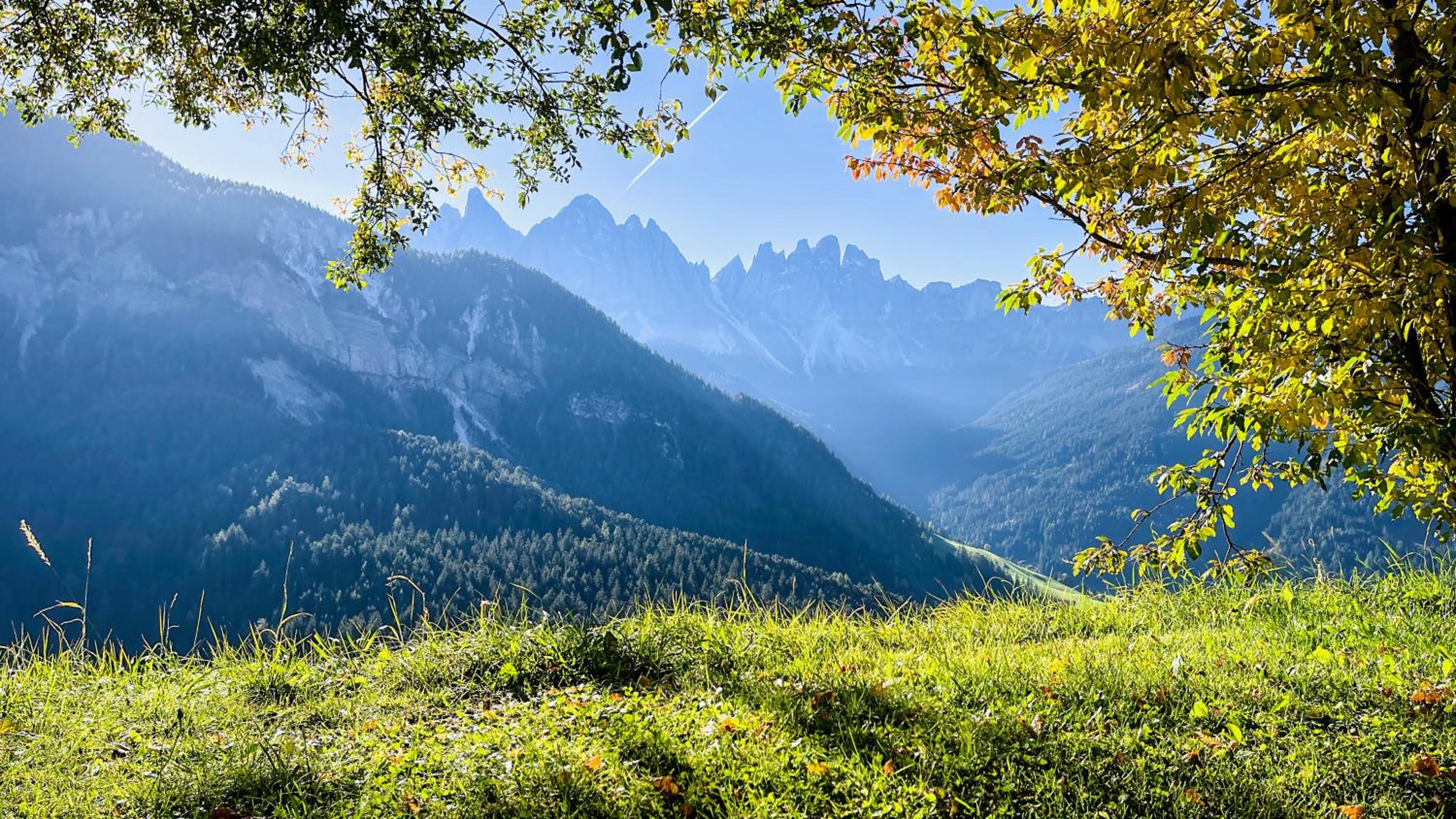 Schopplhof - panoramic apartments dolomites