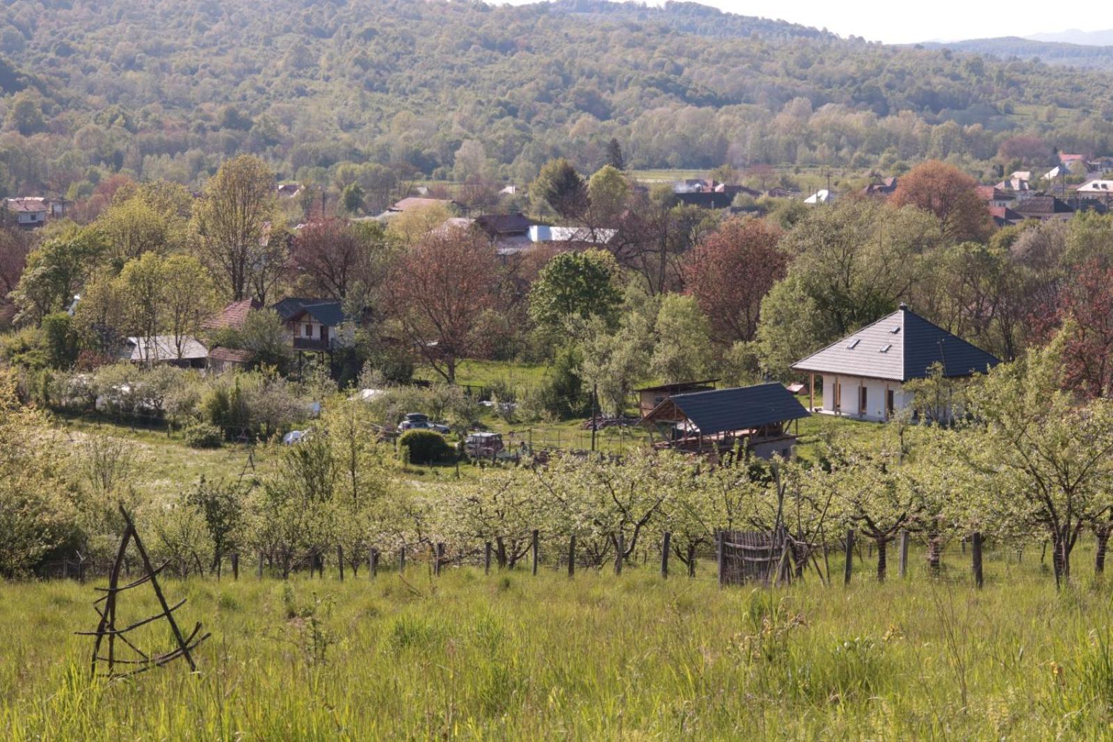 Saint Friday Cottage - Retreat, Garden and Forest view 4