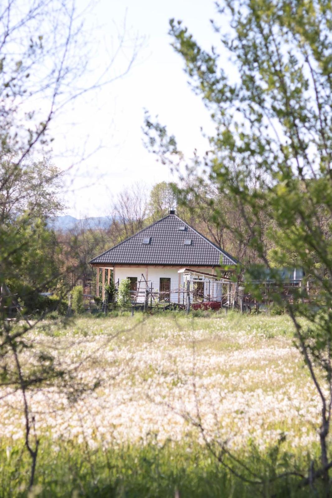 Saint Friday Cottage - Retreat, Garden and Forest view 2