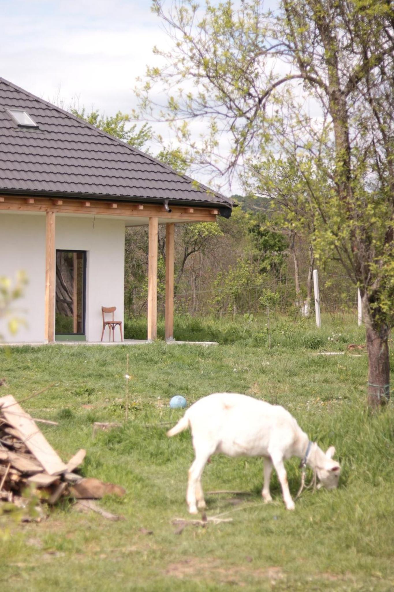 Saint Friday Cottage - Retreat, Garden and Forest view 3