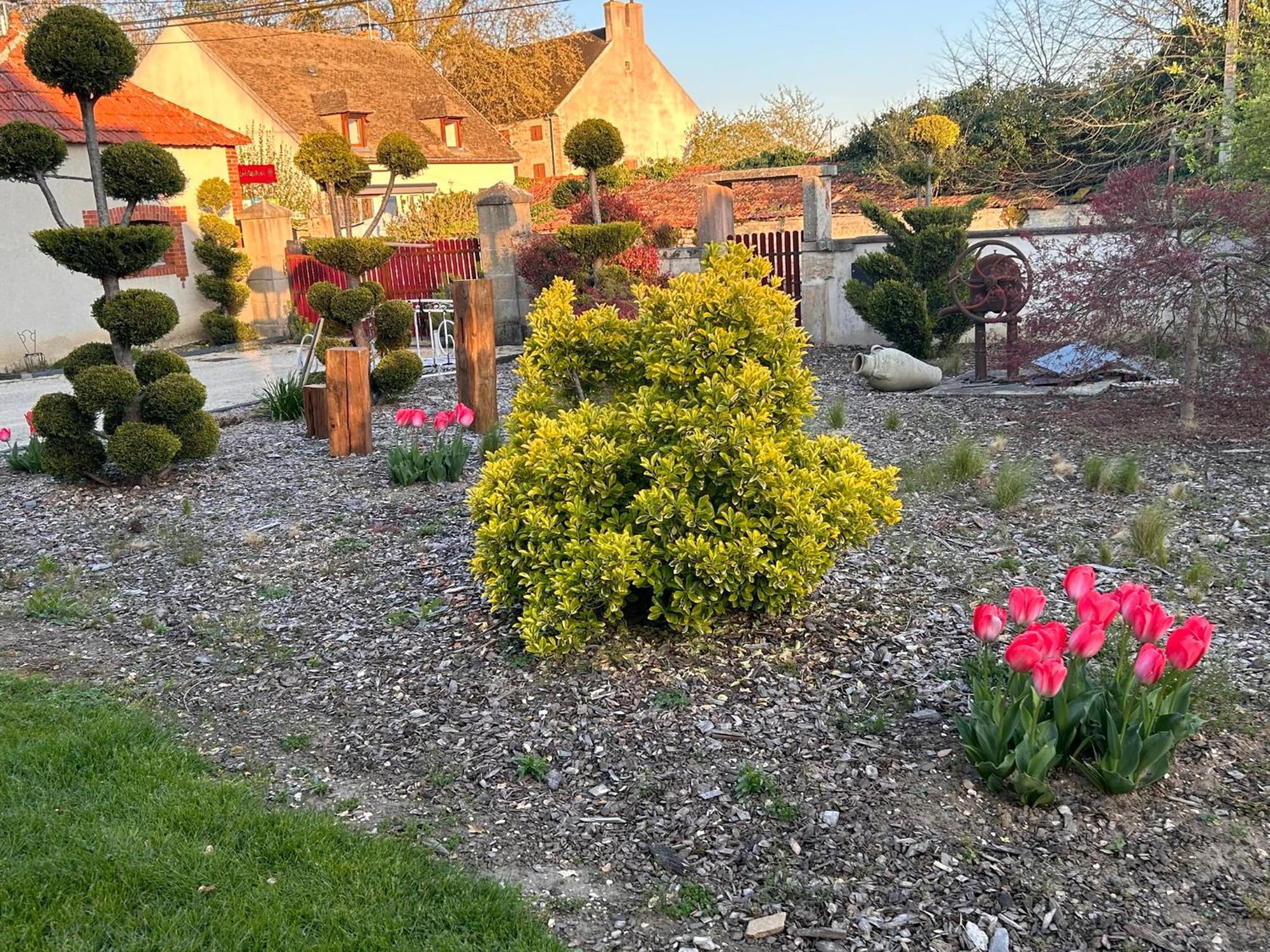 Photo 21