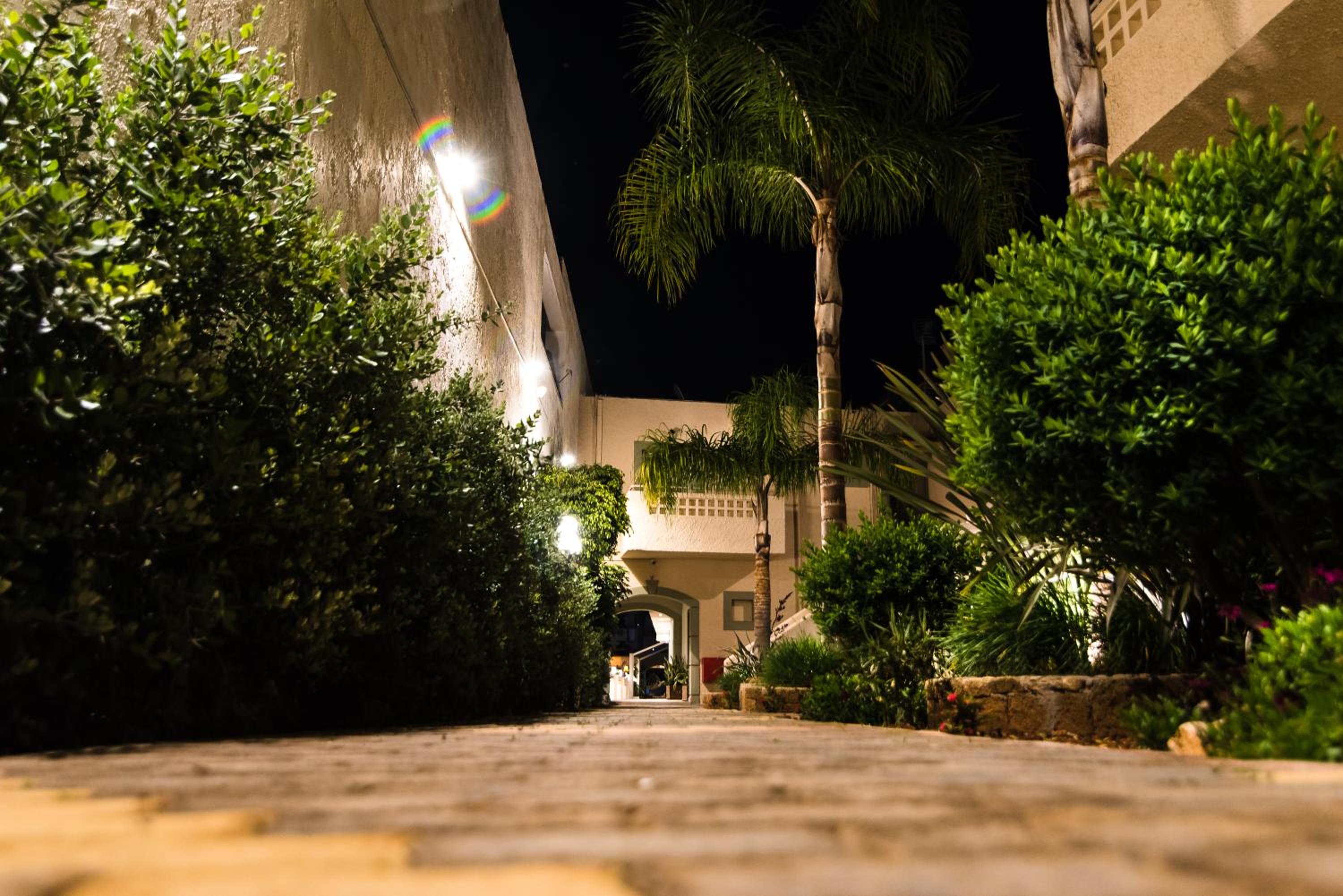 Le Palme