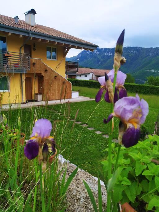 Il Biancospino Appartamento in Villa view 4