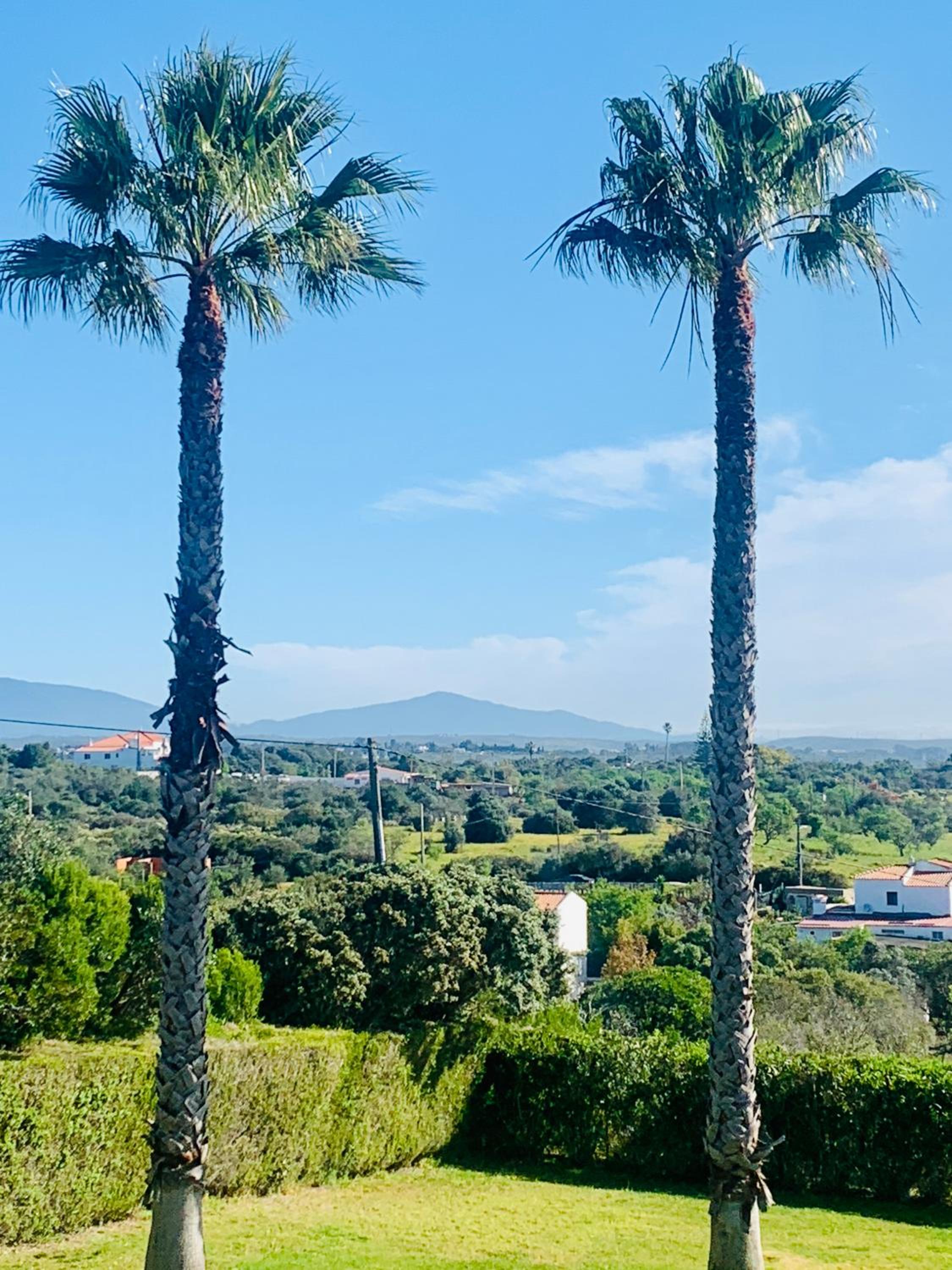 Quinta da Bela Vista view 3