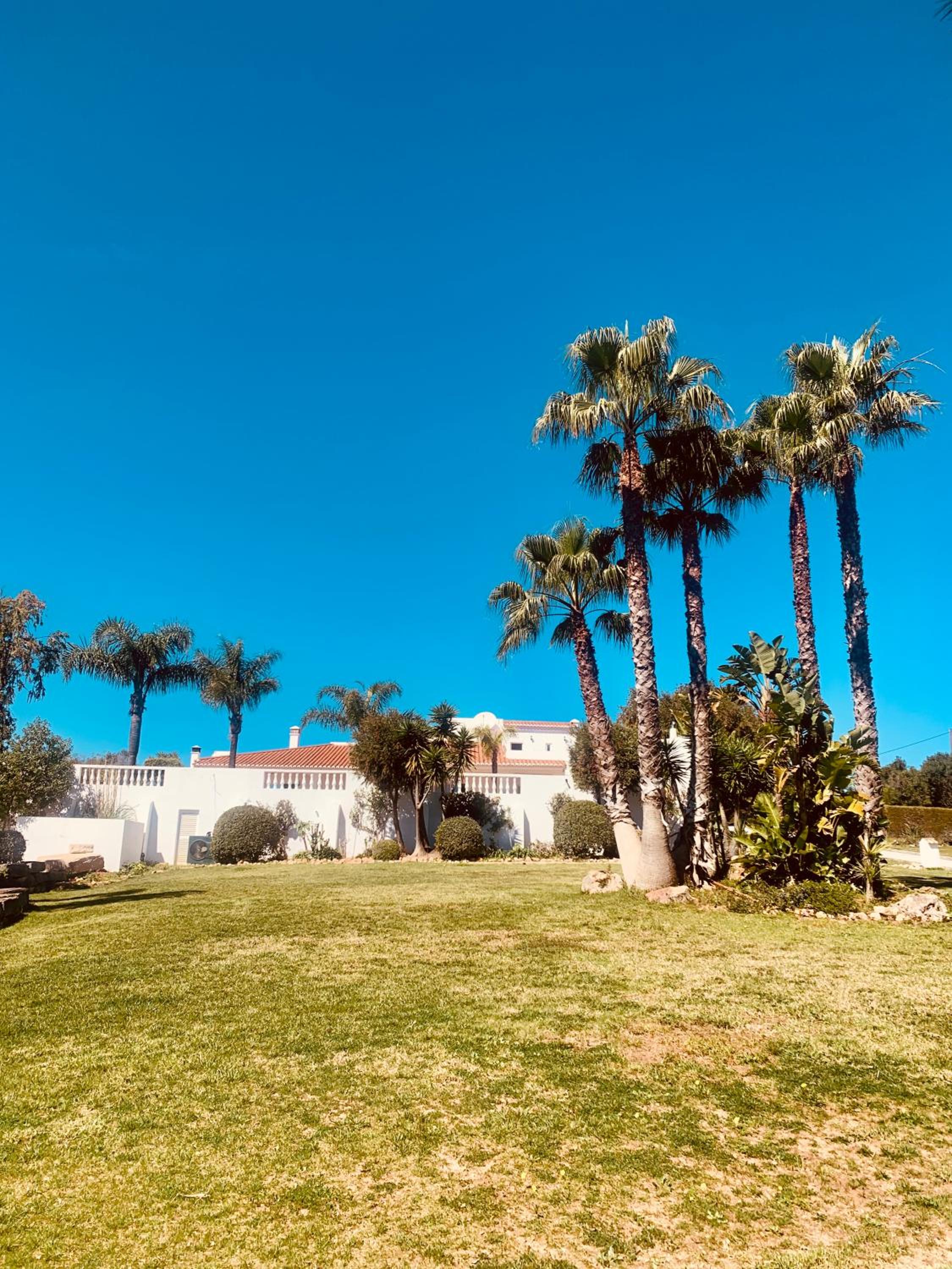 Quinta da Bela Vista view 2