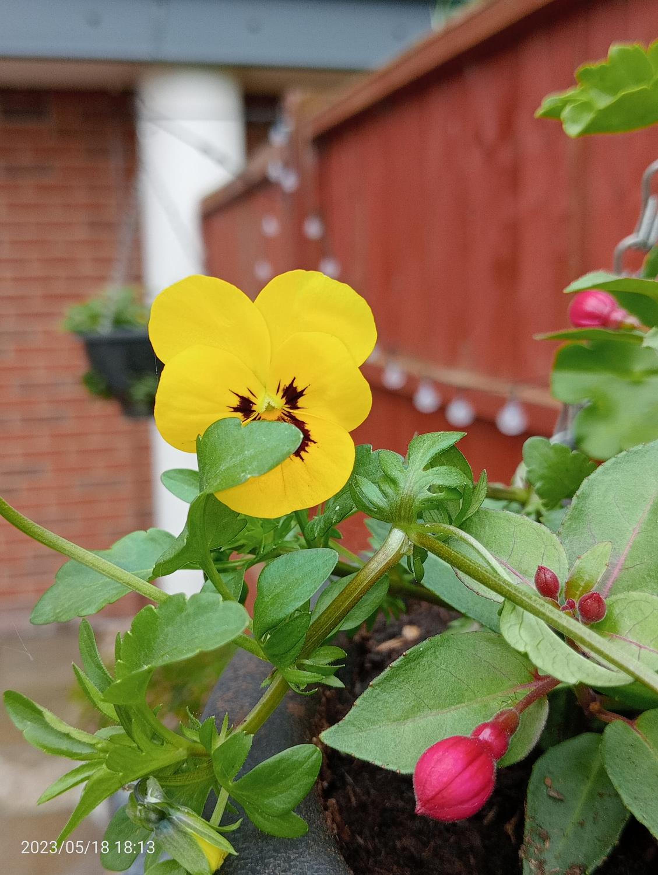 Photo 34
