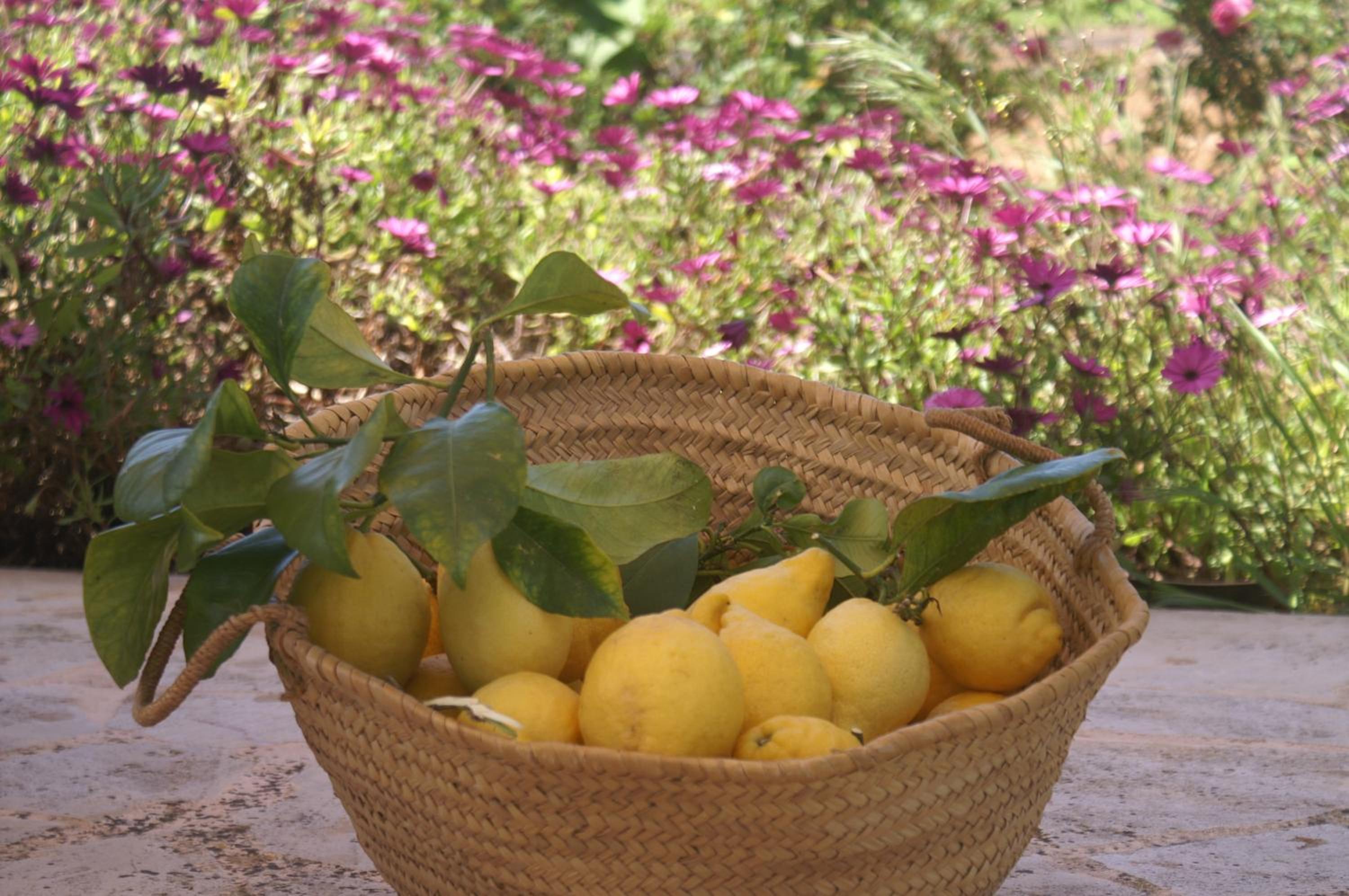 Photo 36