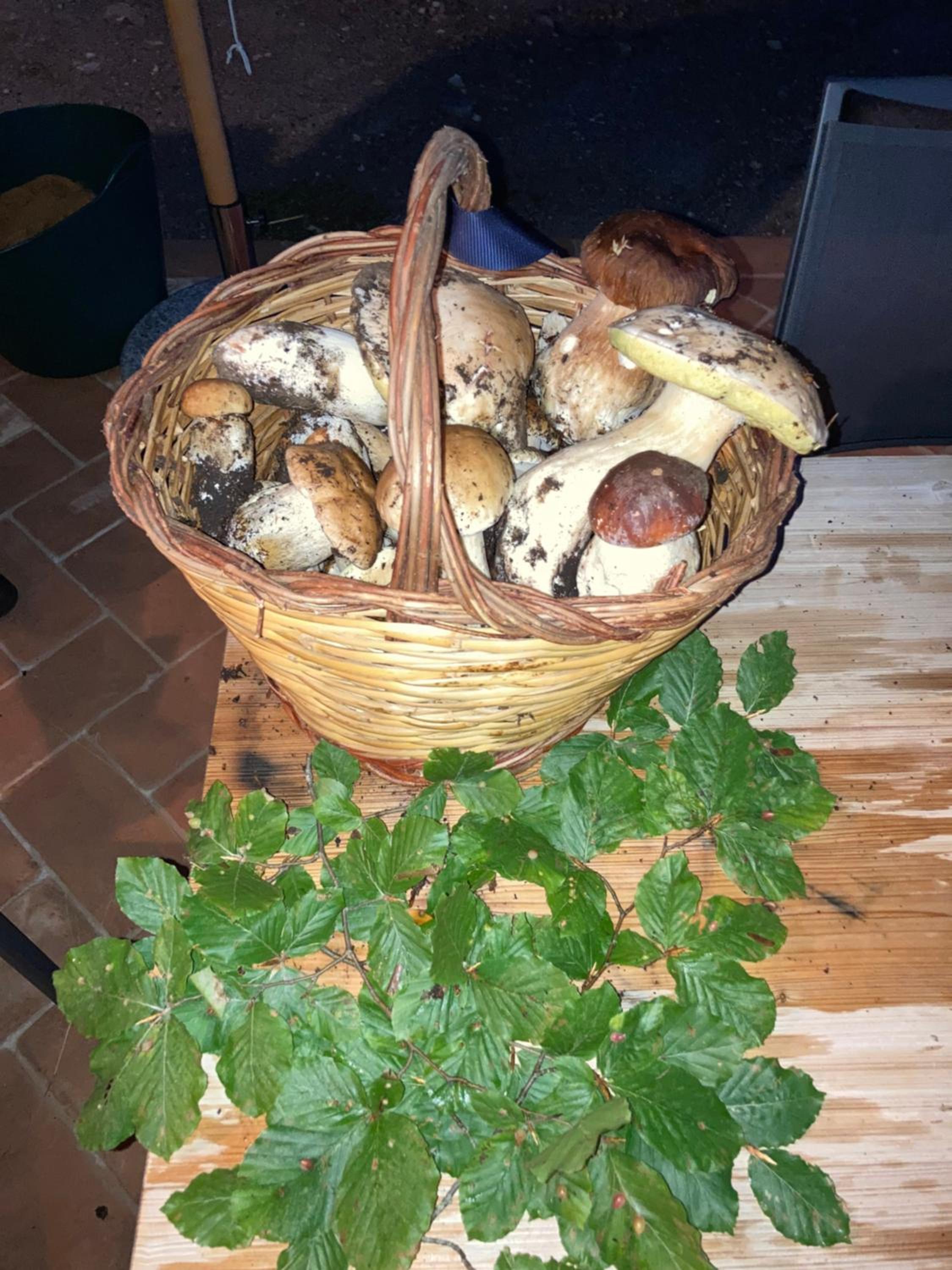 Photo 26