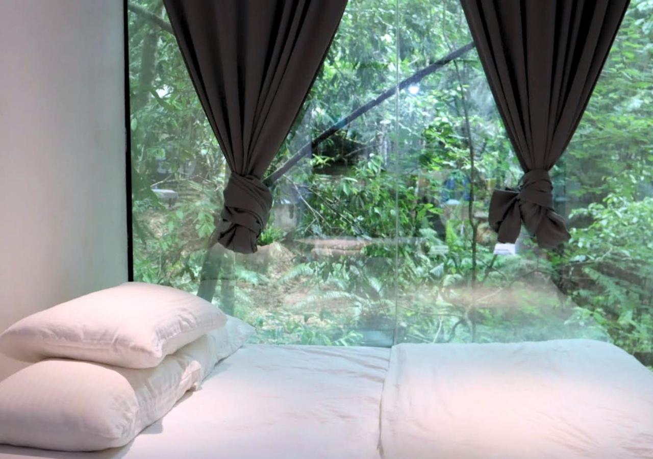 Time Capsule Retreat, Sungai Lembing photo 4