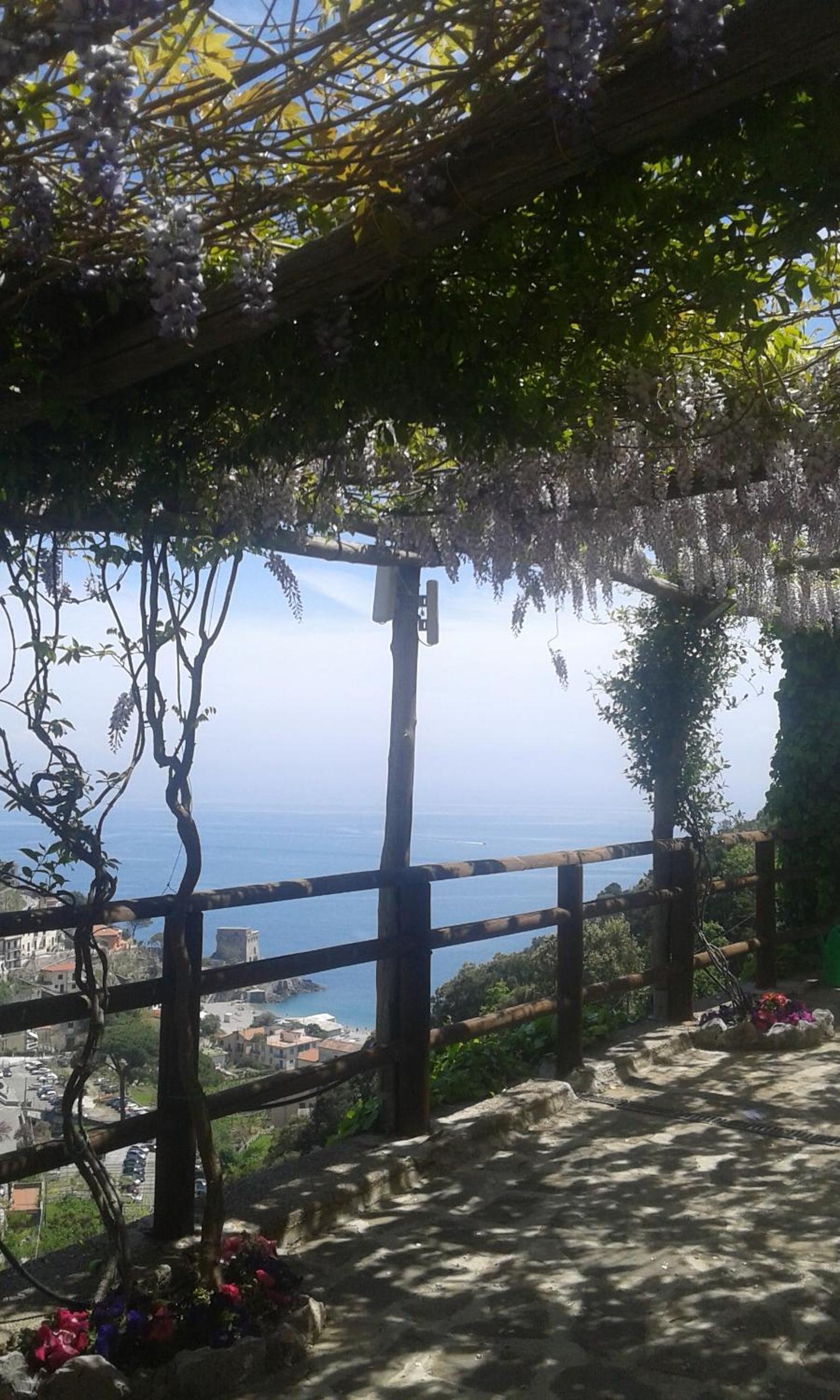 Limoneto Di Ercole photo 2