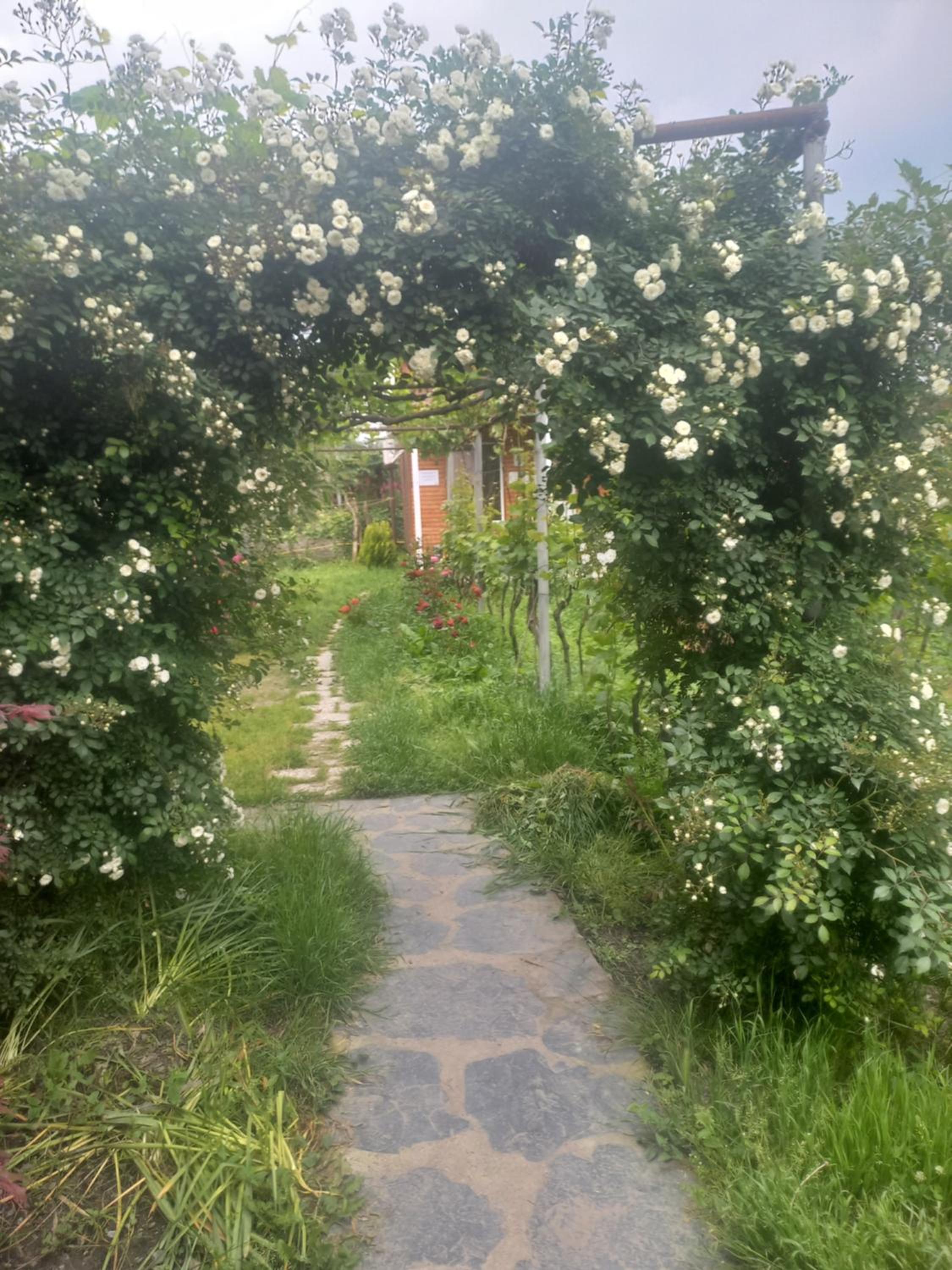 Photo 23