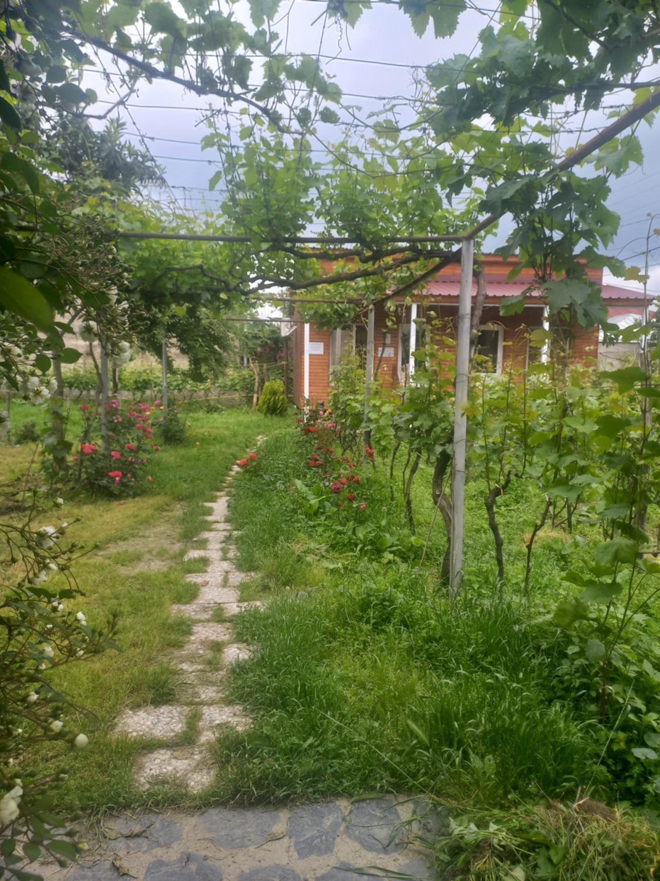 Cottage and Gigo Papa's Wine Cellar view 2