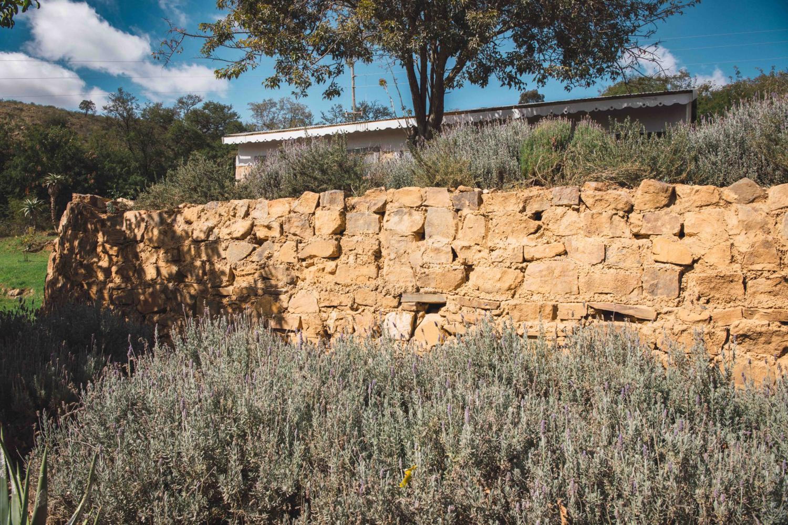 Riverbed Africa