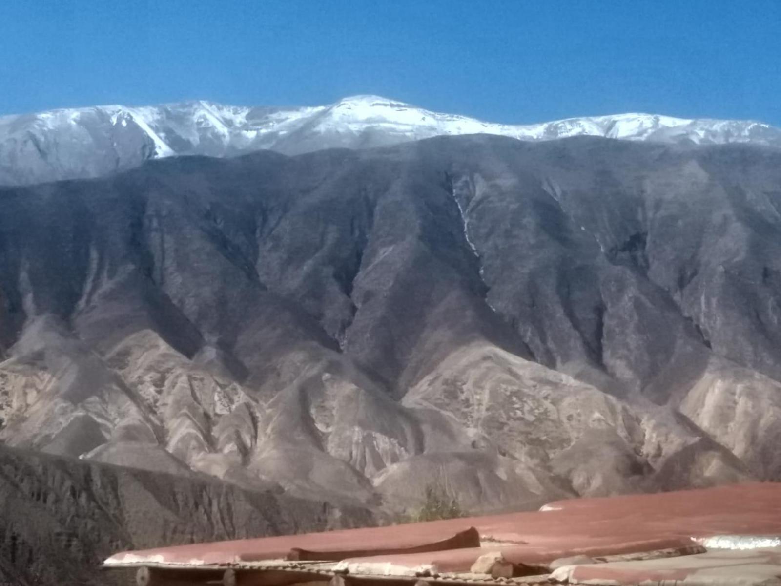 La calandria