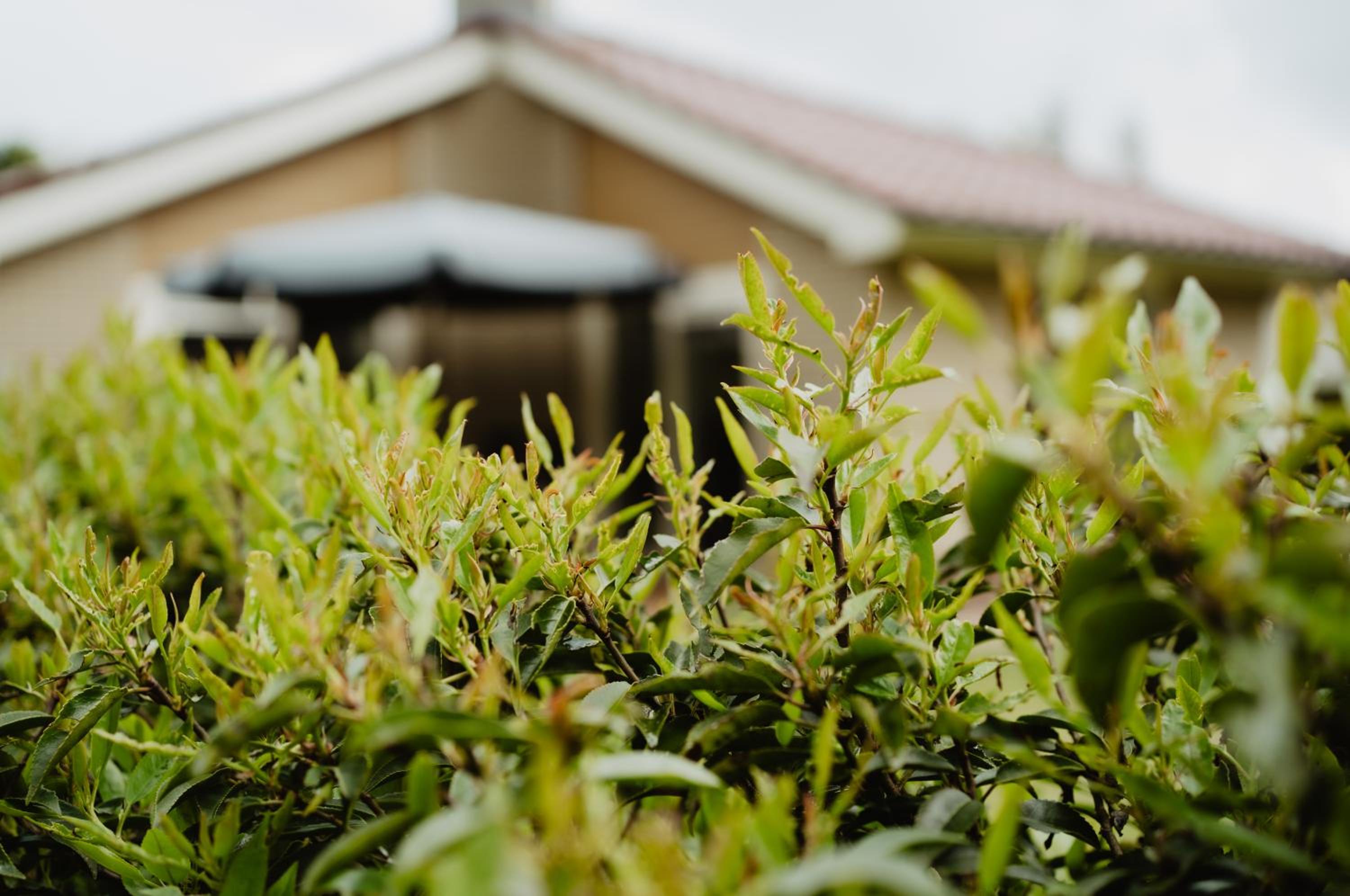 Bungalow Rondomzon view 5