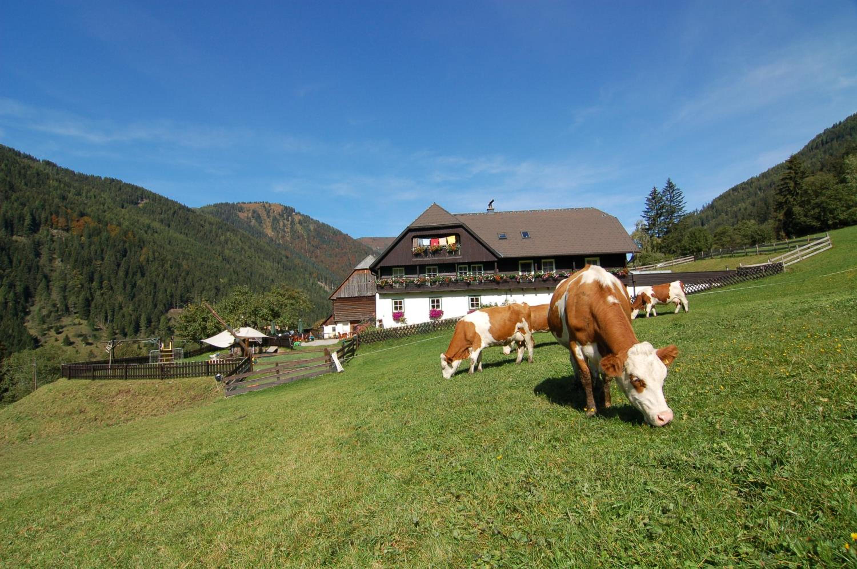 Der Perweinhof