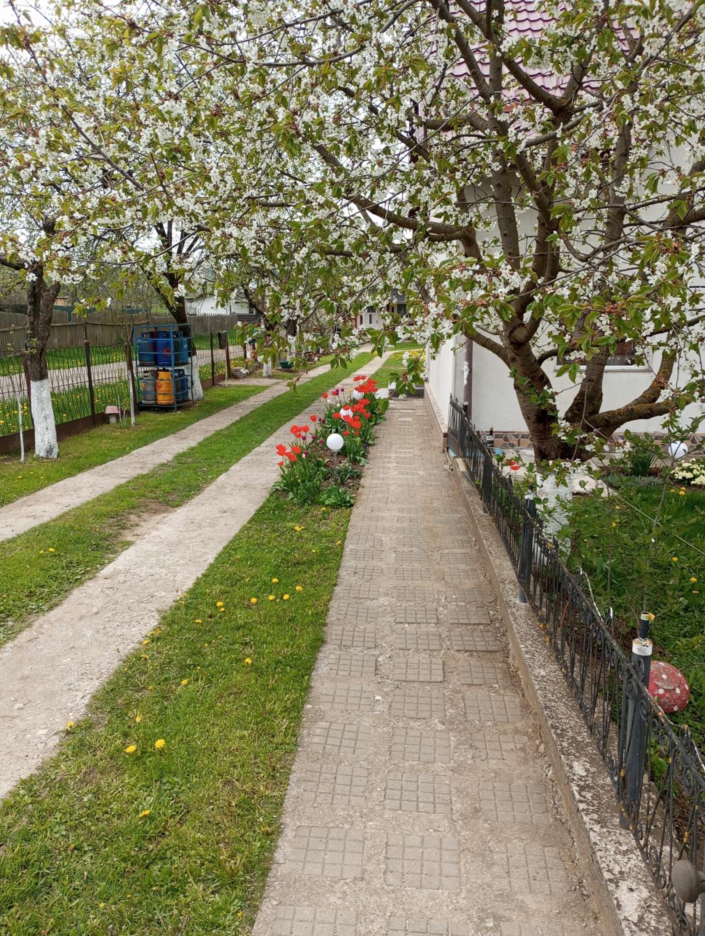 Căsuța Bunicilor