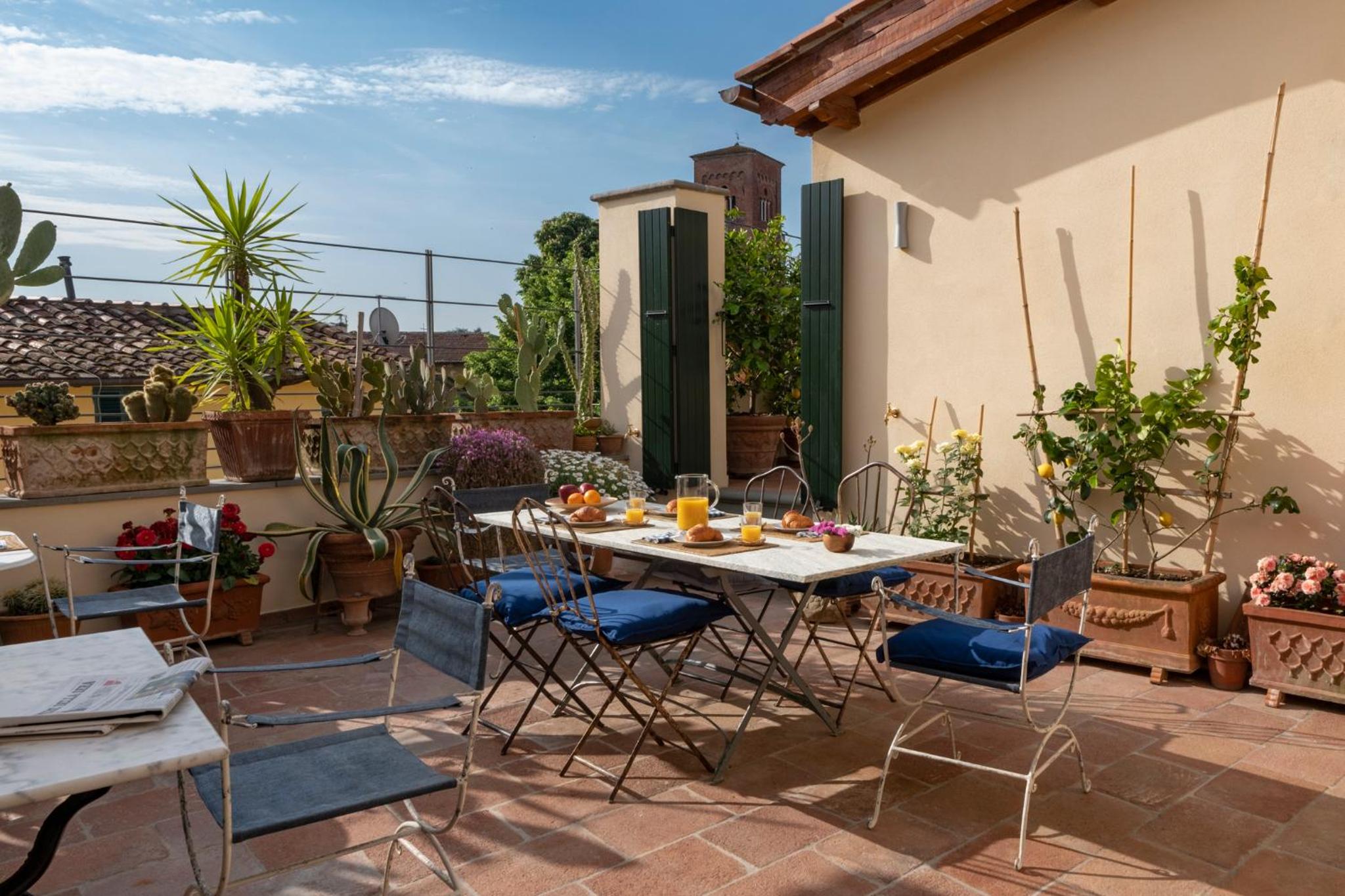 balance & terrace