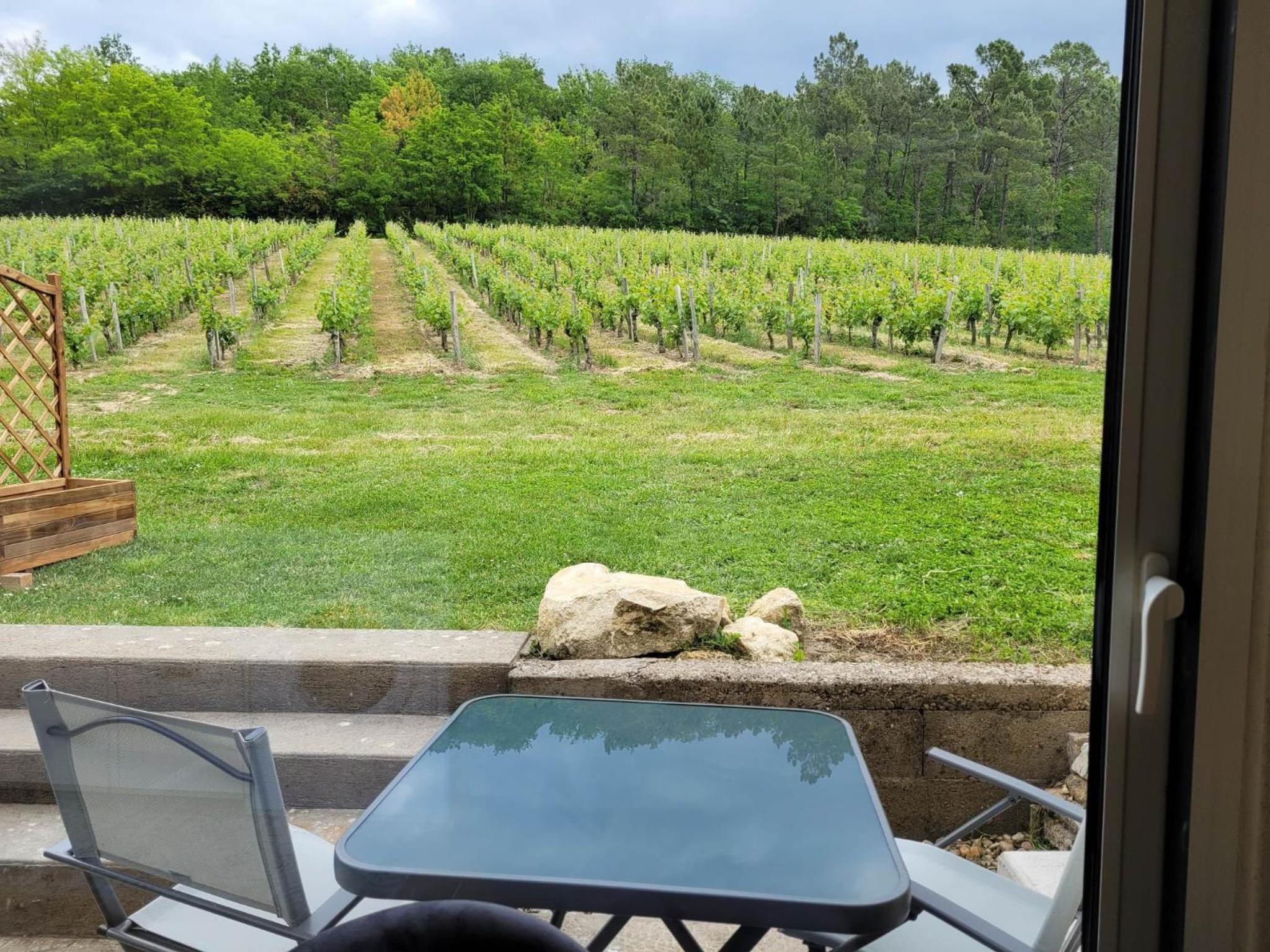 A L'OMBRE DE LA TREILLE -Proche Saint-Emilion view 4