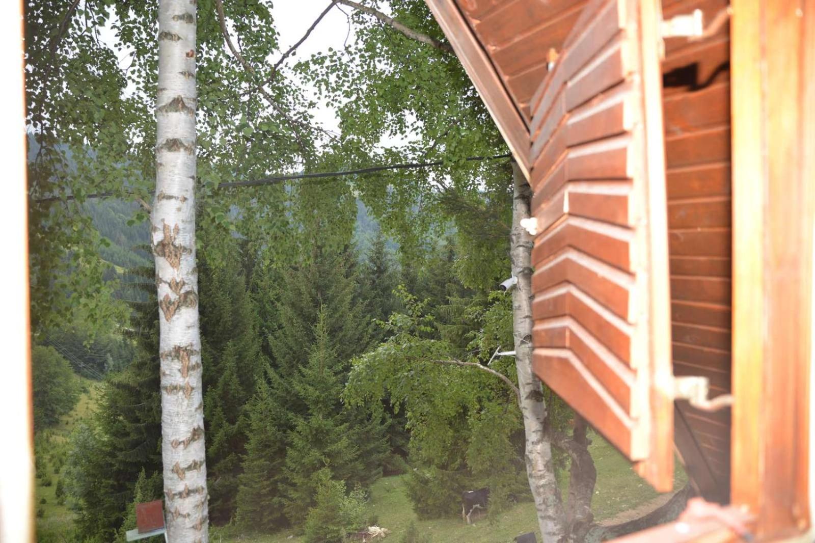 Photo 49