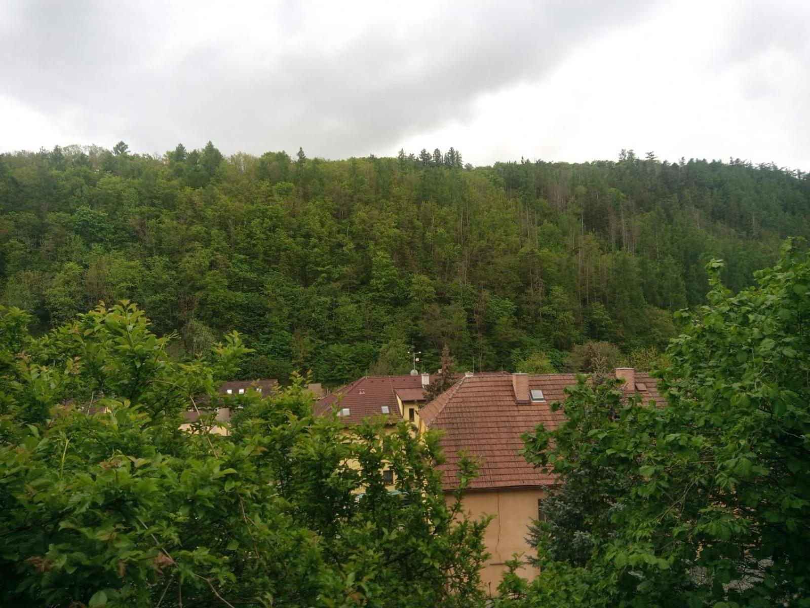 Nižbor samostatný domek v zahradě