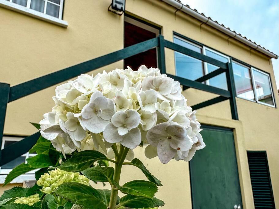 Luana House view 4