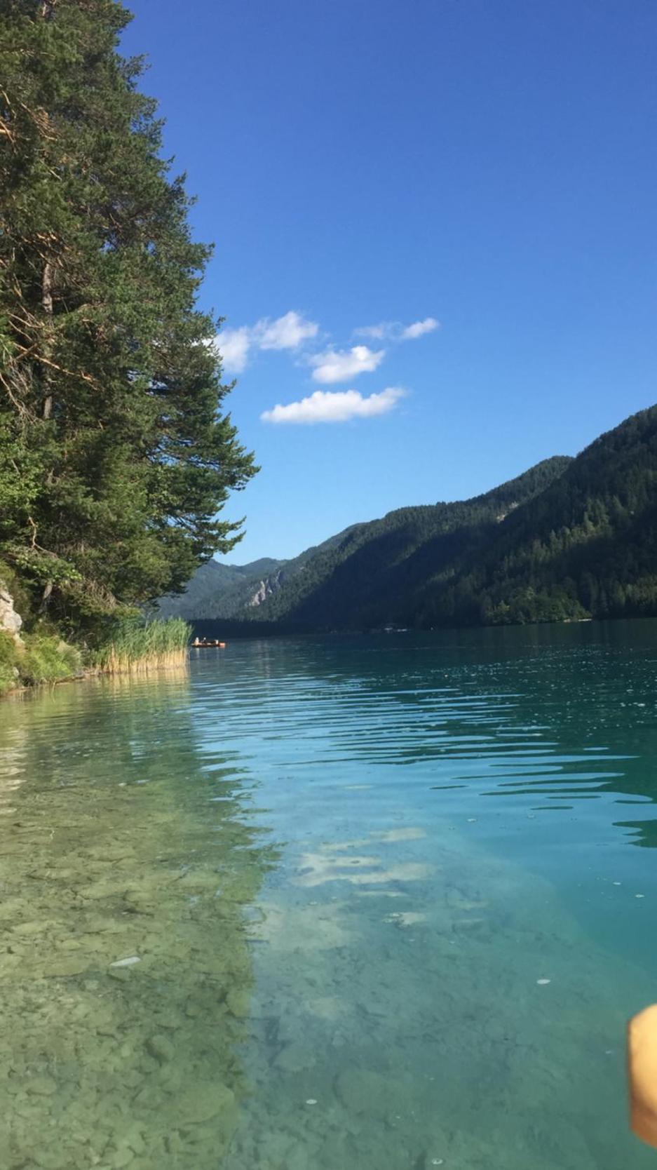 Wohnung in Kärnten Nähe Millstättersee