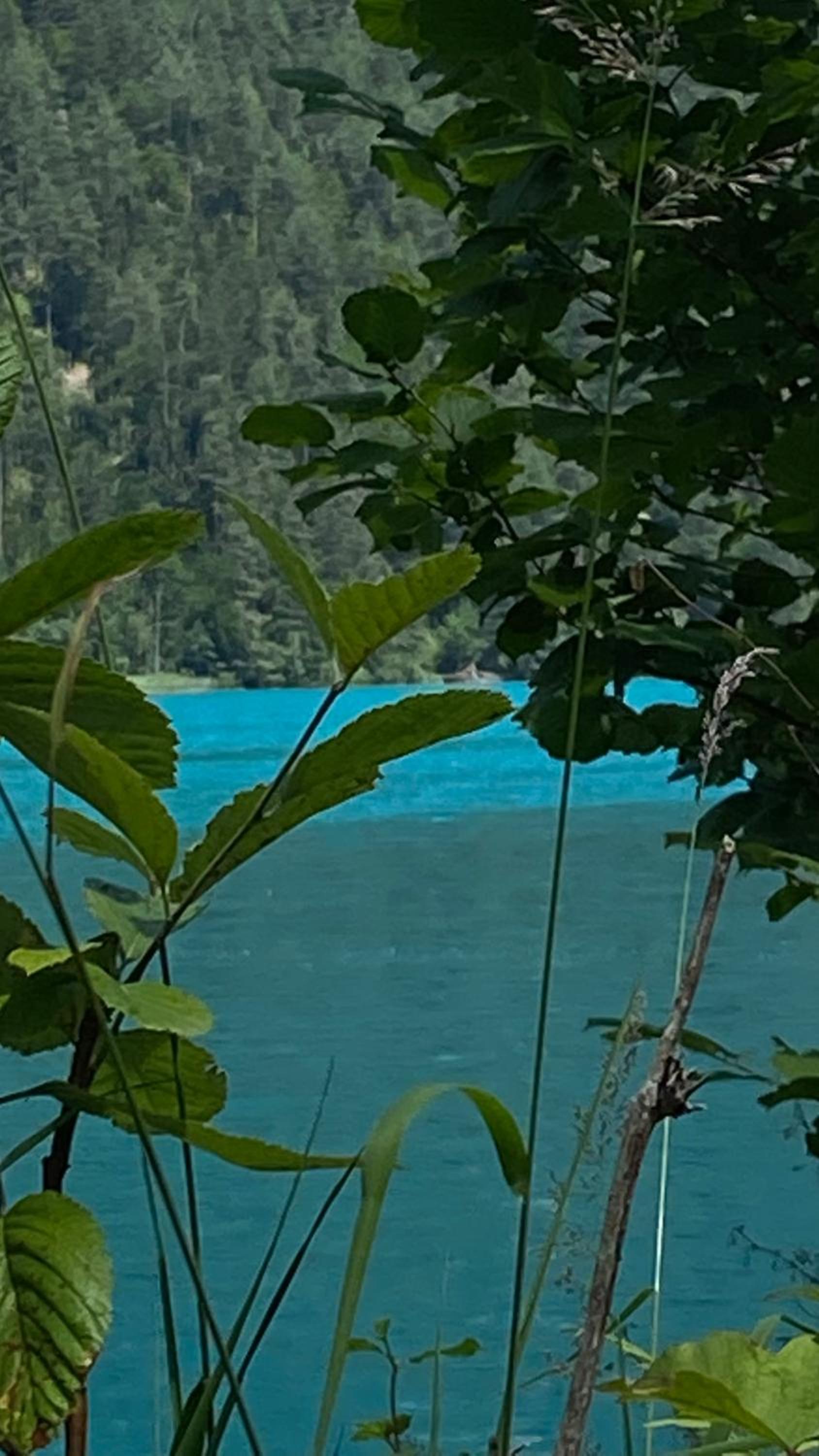 Wohnung in Kärnten Nähe Millstättersee