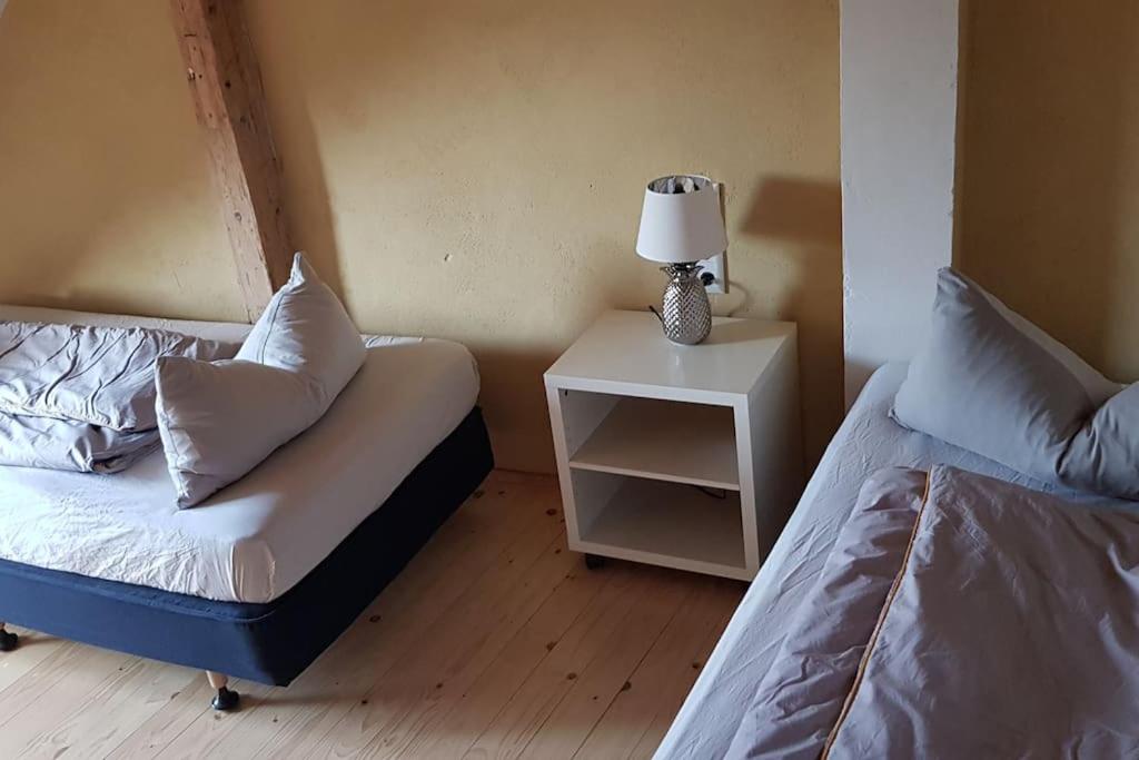 Ferienwohnung Salamander