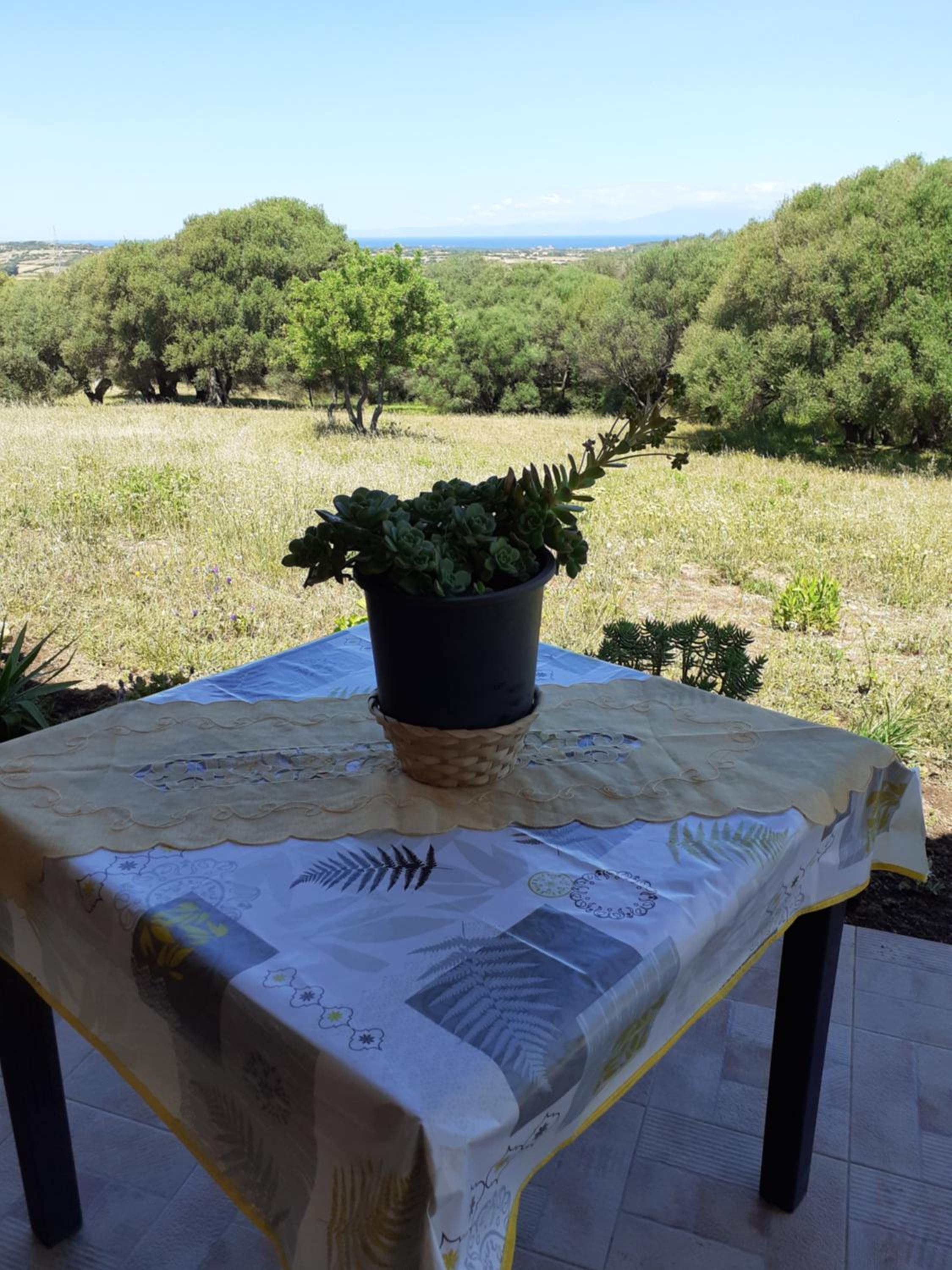 agriturismo gli olivastri -appartamento bel vedere con piscina ,solarium e vista mare,climatizzatore ,wifi
