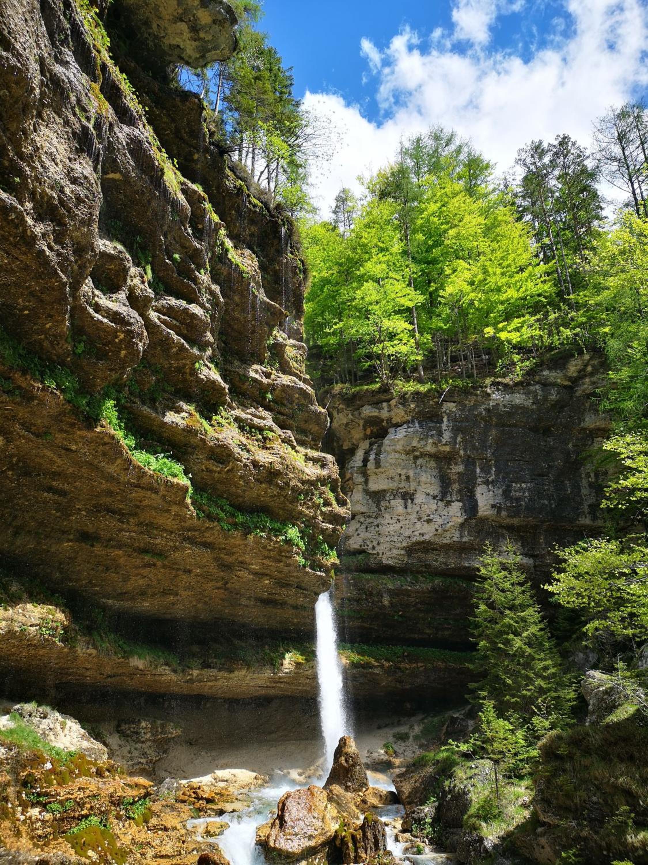 Apartmaji na hribu
