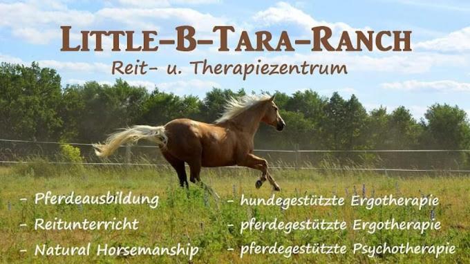 Martinsgarten