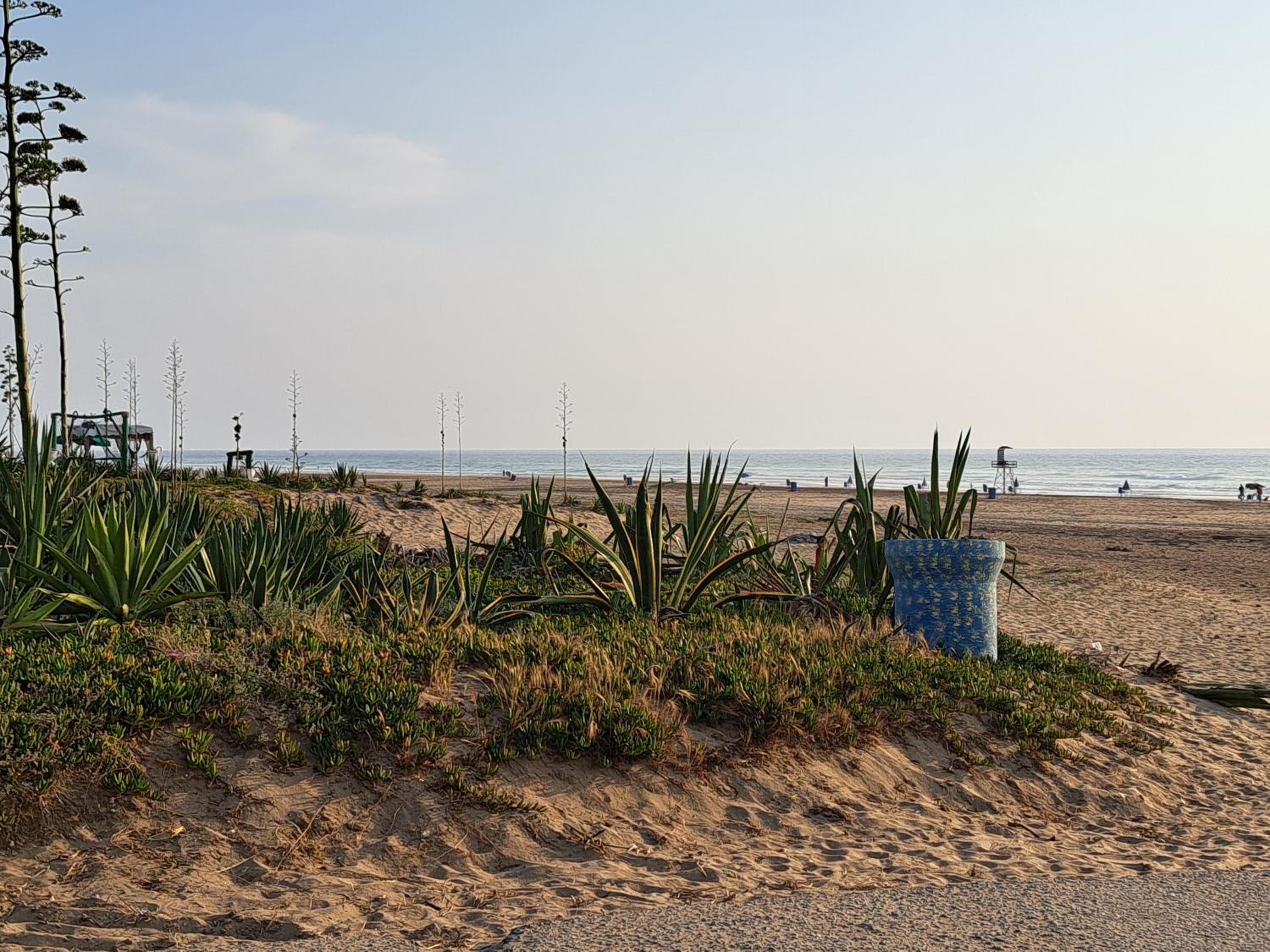 Cosy appartement à 3min de la forêt et 5min de la plage