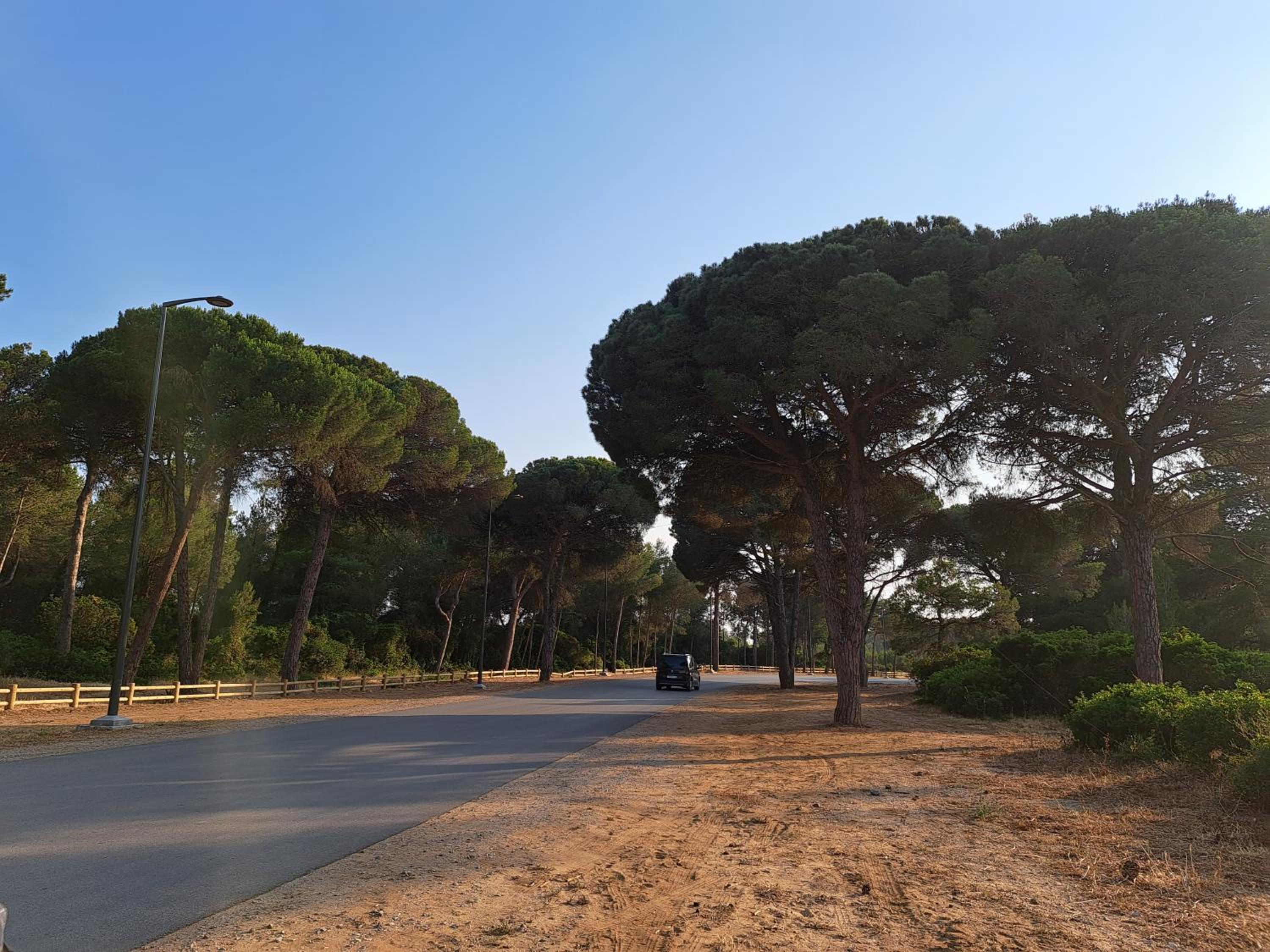 Cosy appartement à 3min de la forêt et 5min de la plage
