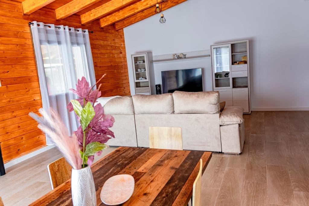 Casas Cristea