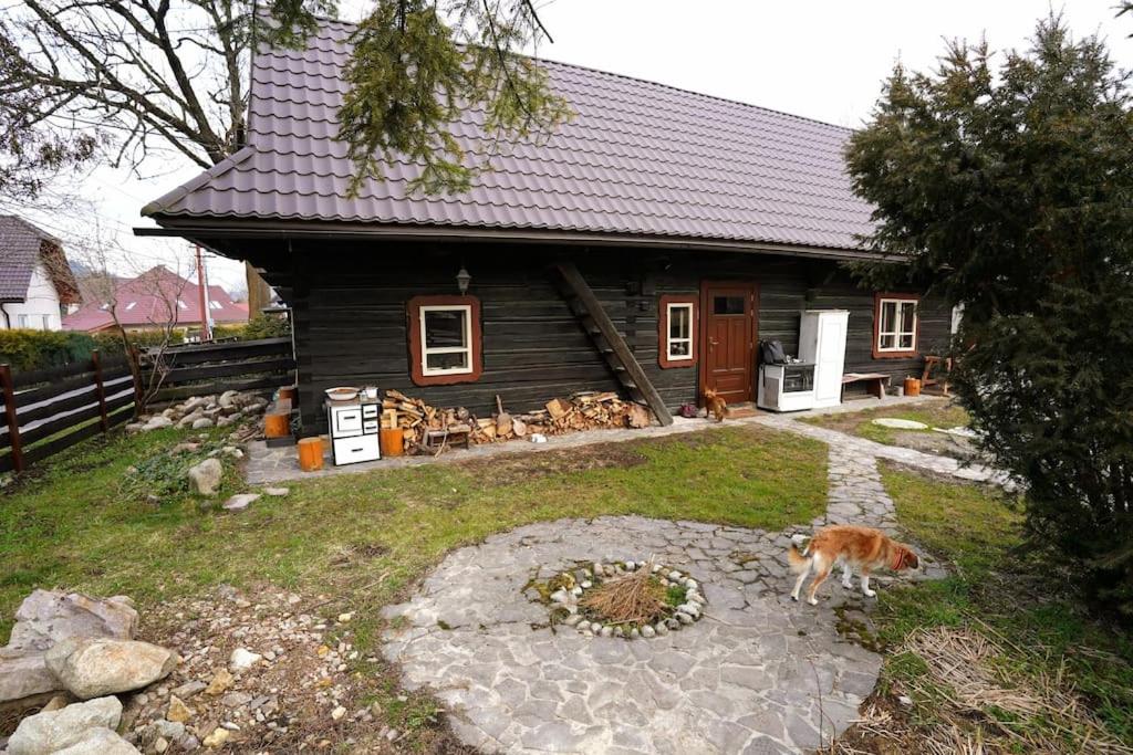 Photo 8